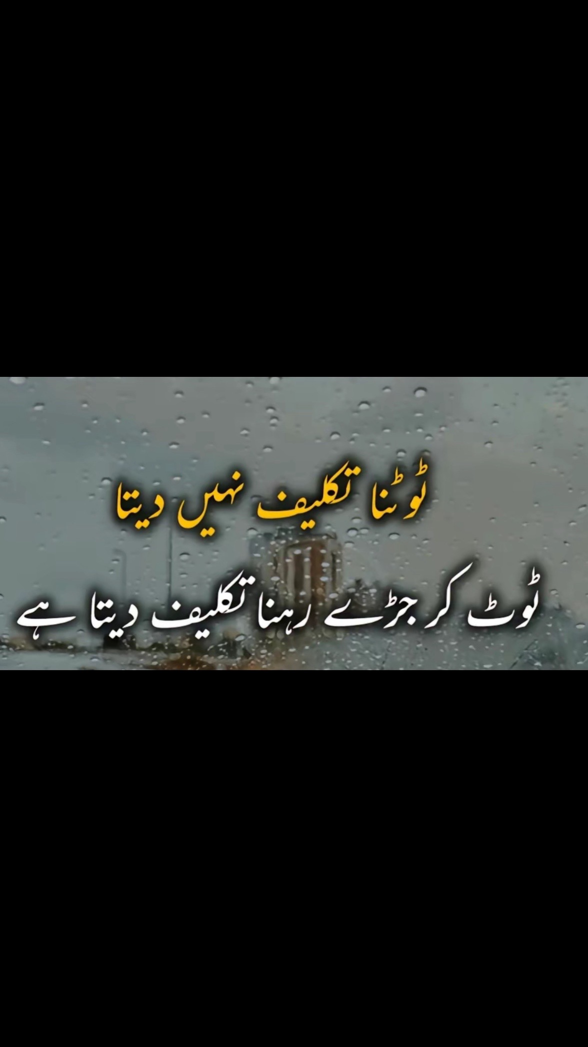 @Shazy ki Moon