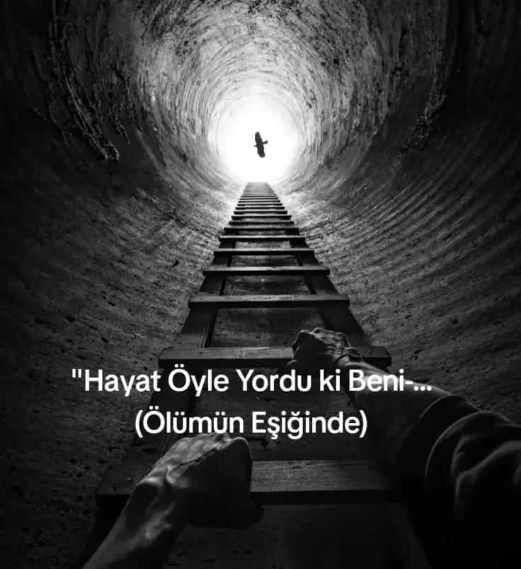 @🇹🇷 Zeynep 🇹🇷