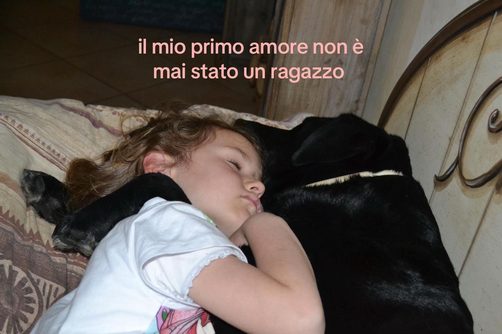 @🌙