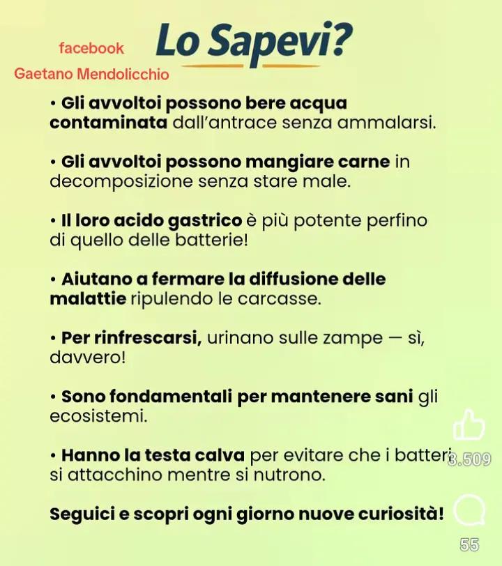 @GAETANO ❤️ 🌹