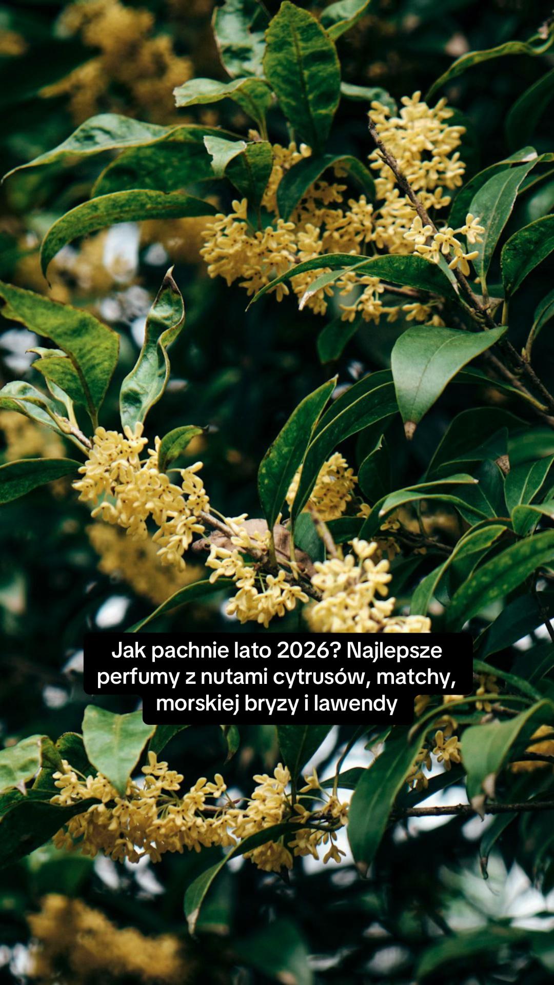 @Vogue Polska