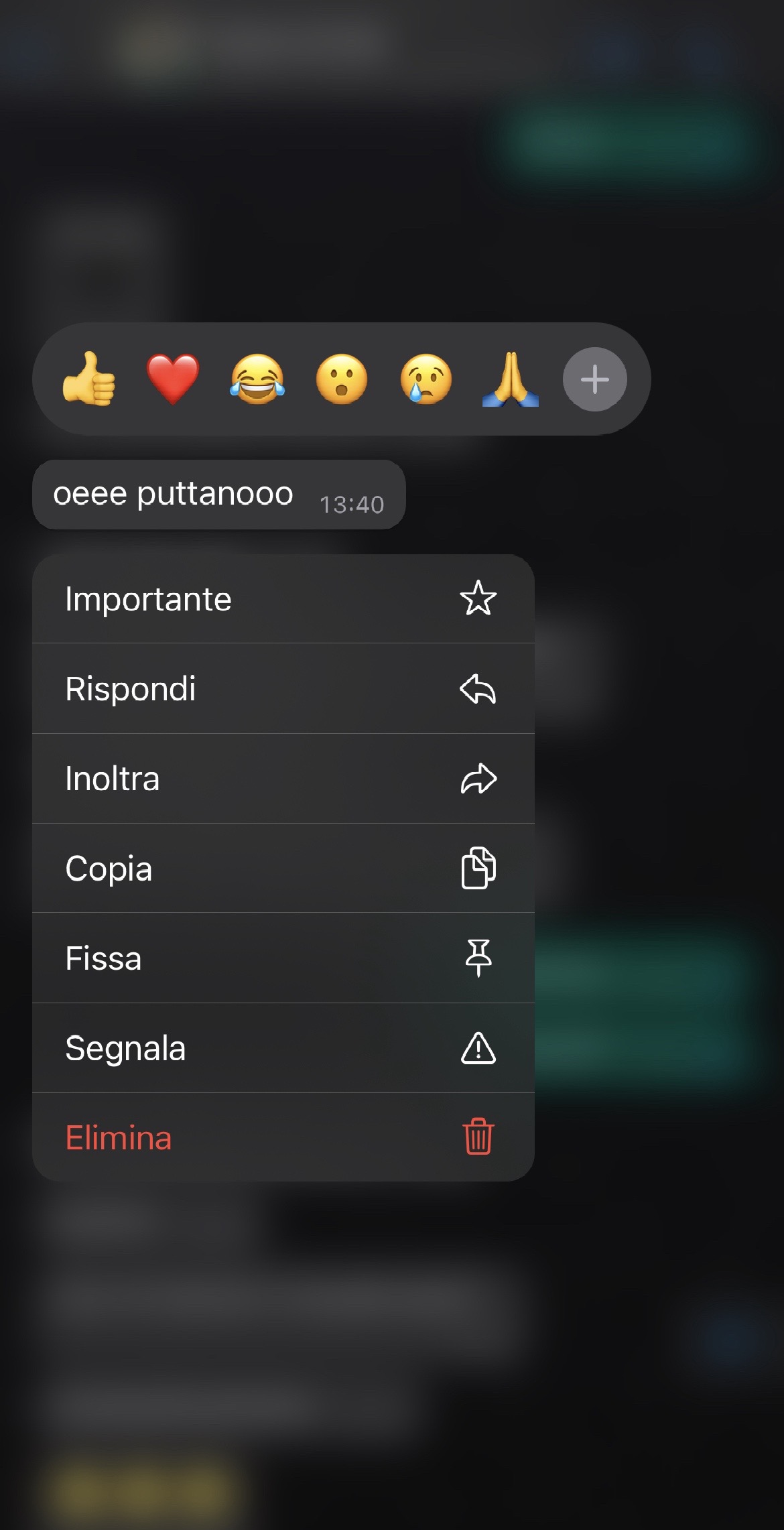 @Noemi D'Alessandro