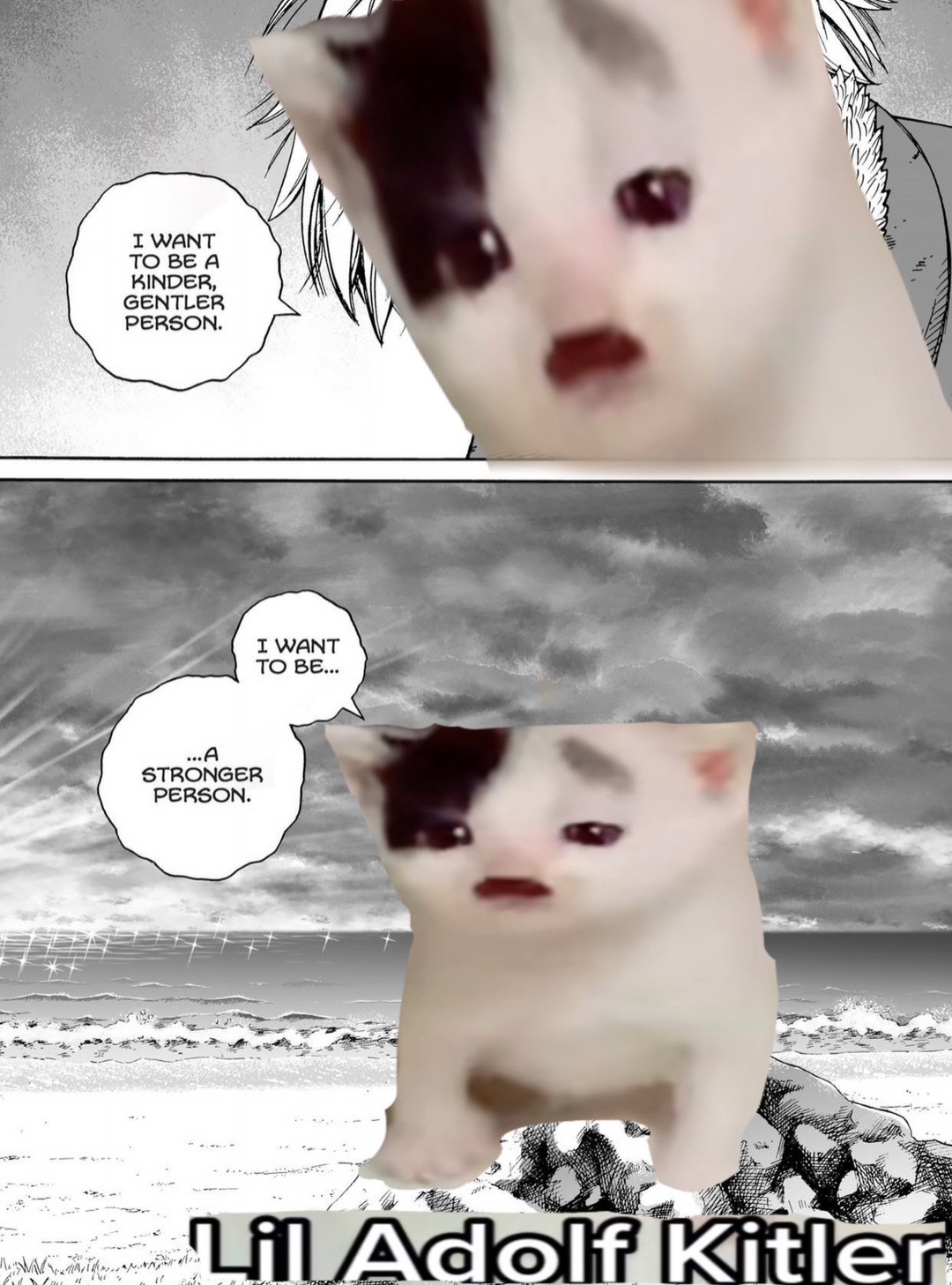 @Ze Helpful Goku