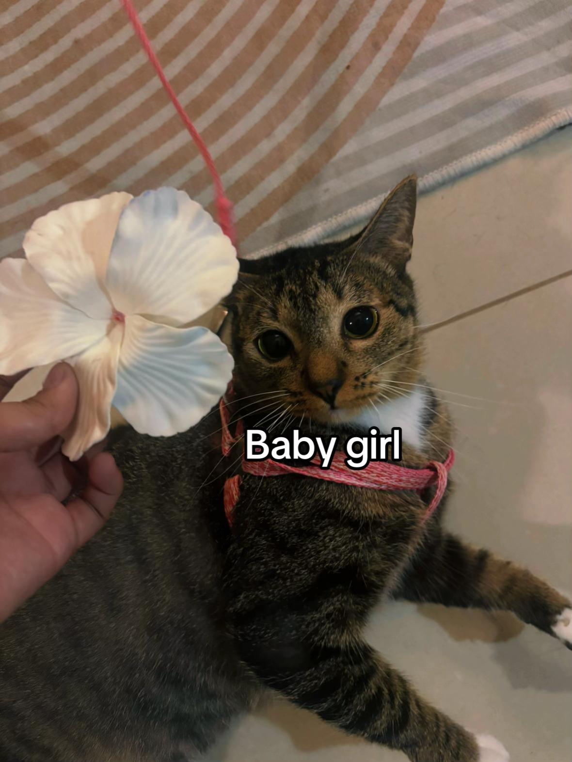 @๐ ๐ ๐