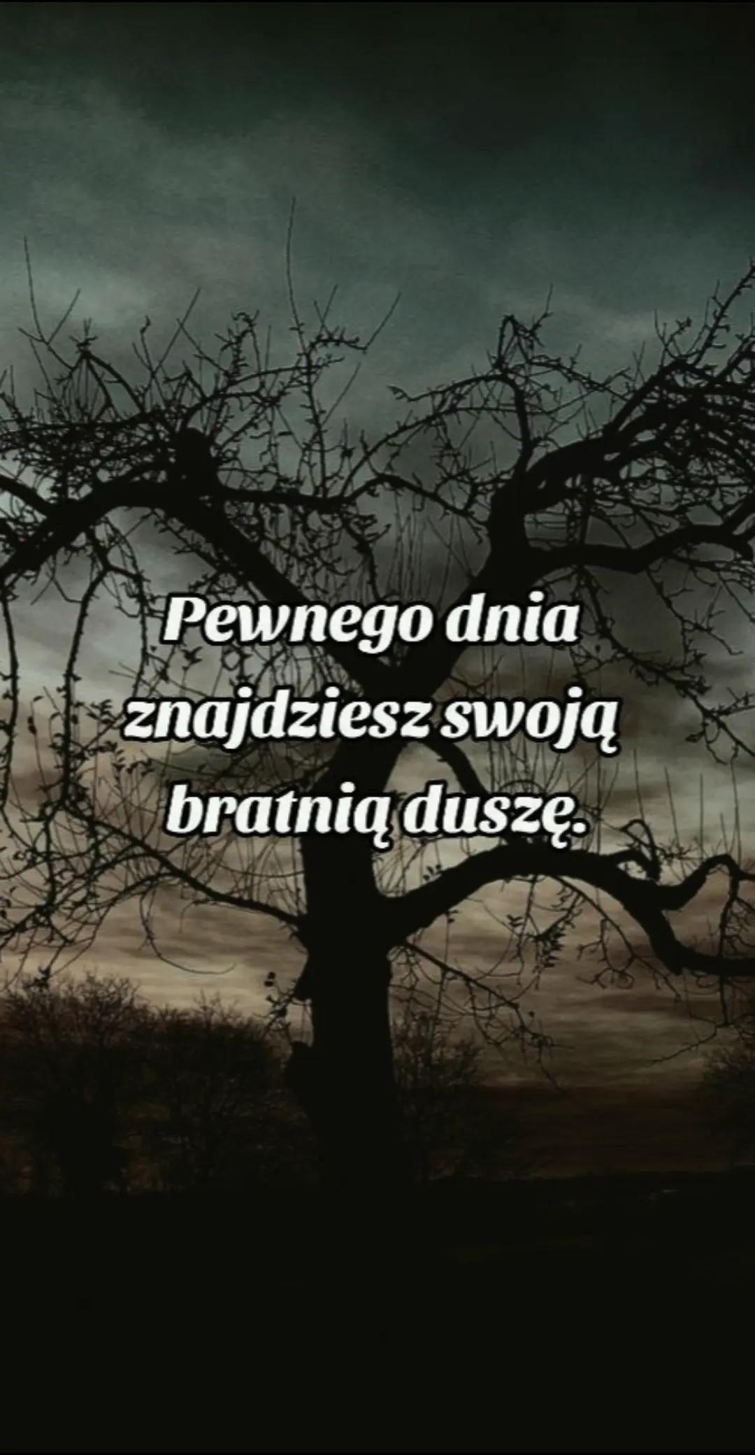 @melika