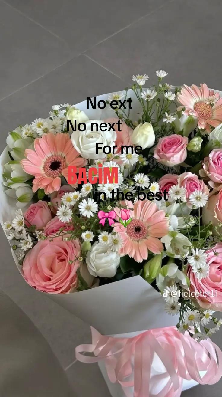 @๐๐ฎ๐ป๐ณ๐ฎ๐ท๐๐งก