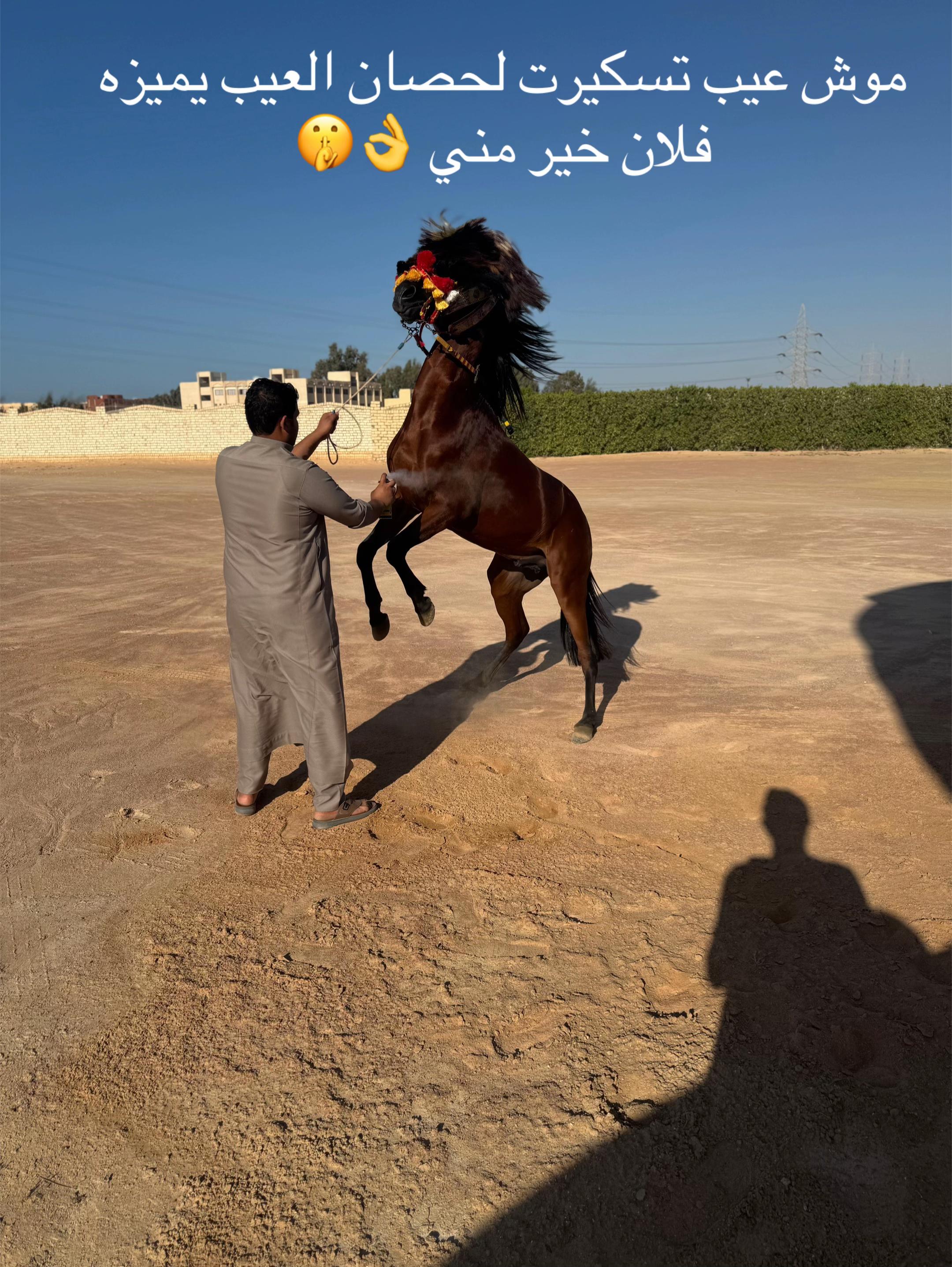 @عرفات عبدالناصر ال عقاري💸👌