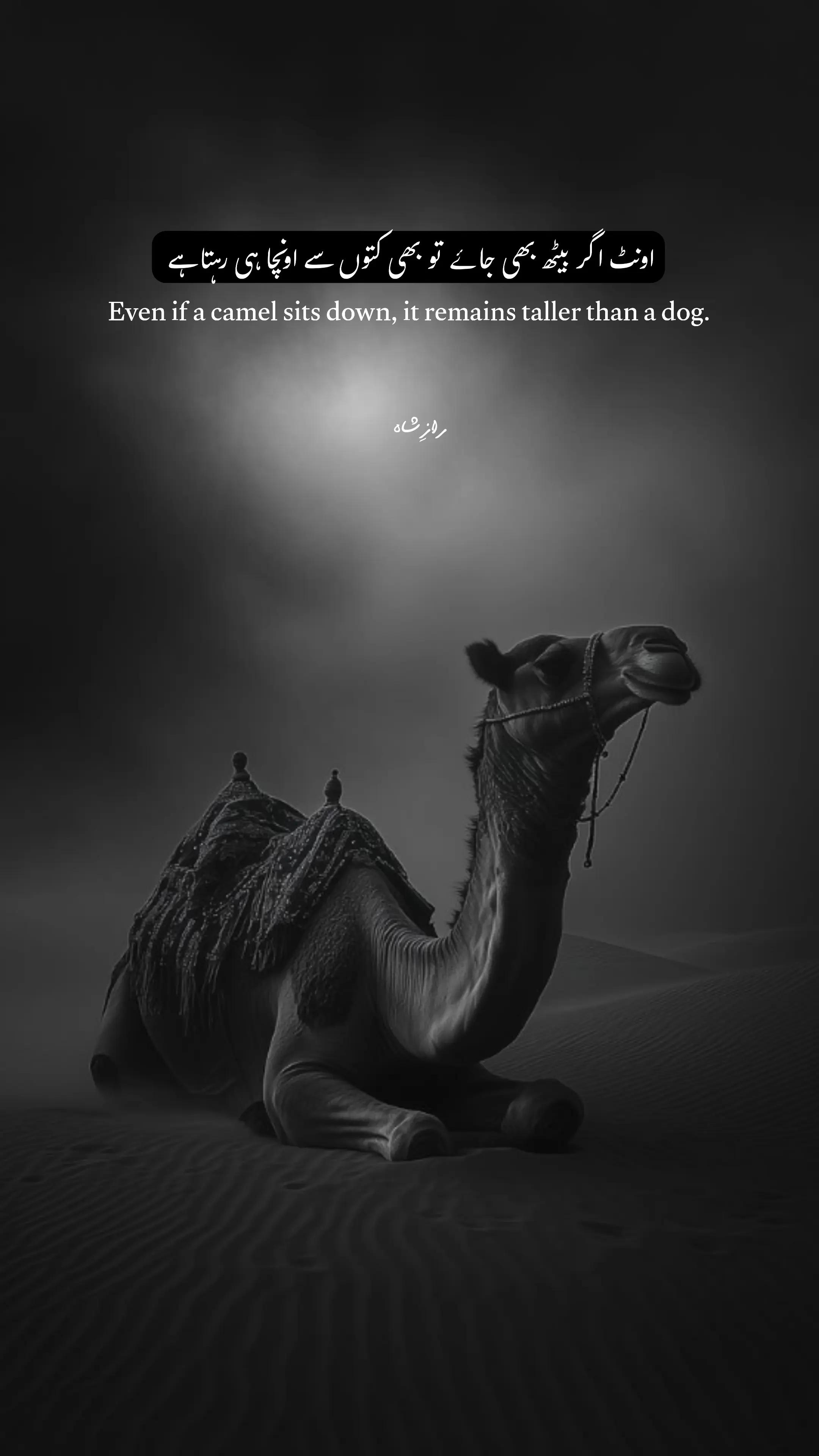 @RAAZ &Ecirc; SHAH