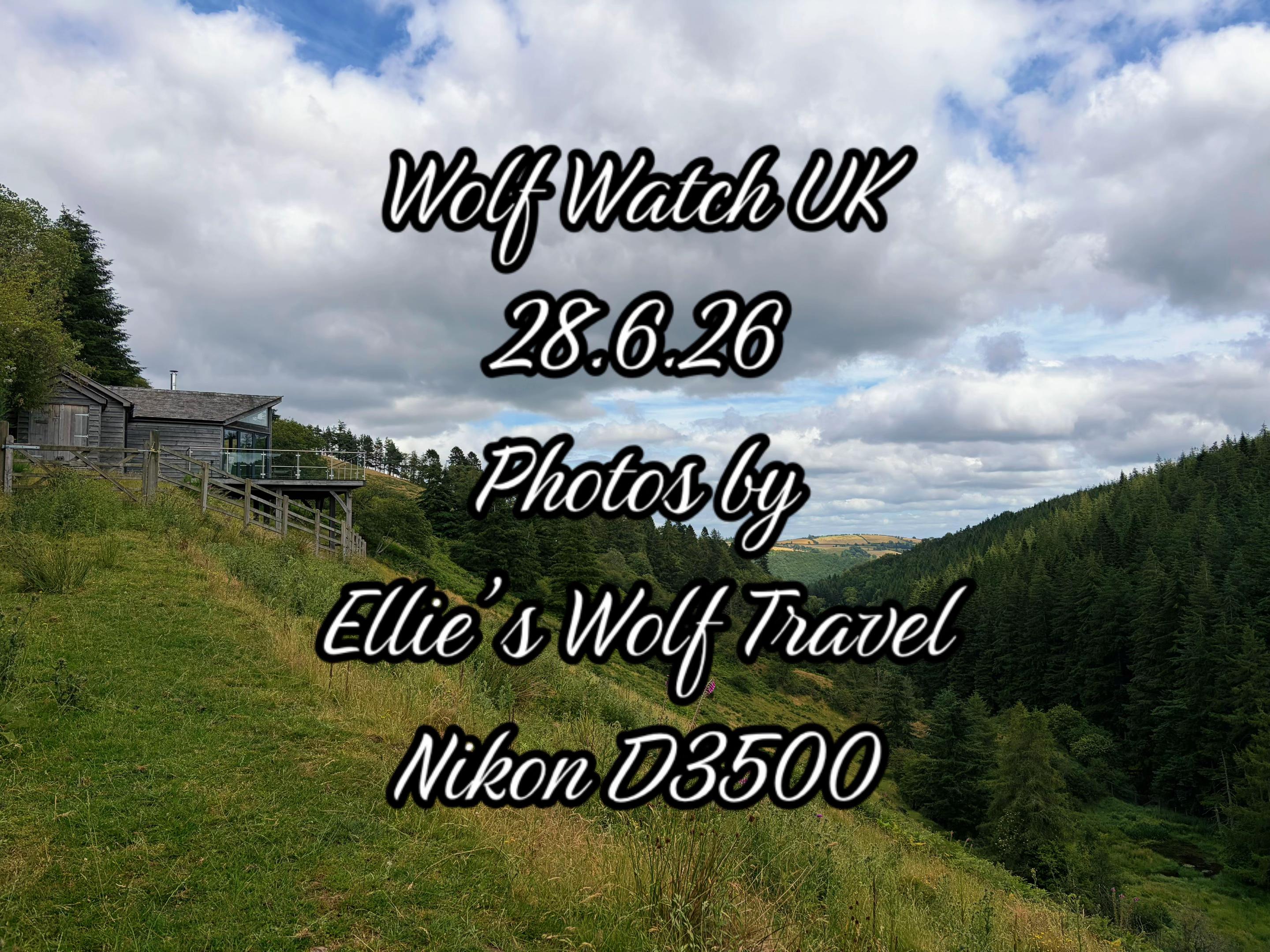 @Ellie’s Wolf Travel 🐺