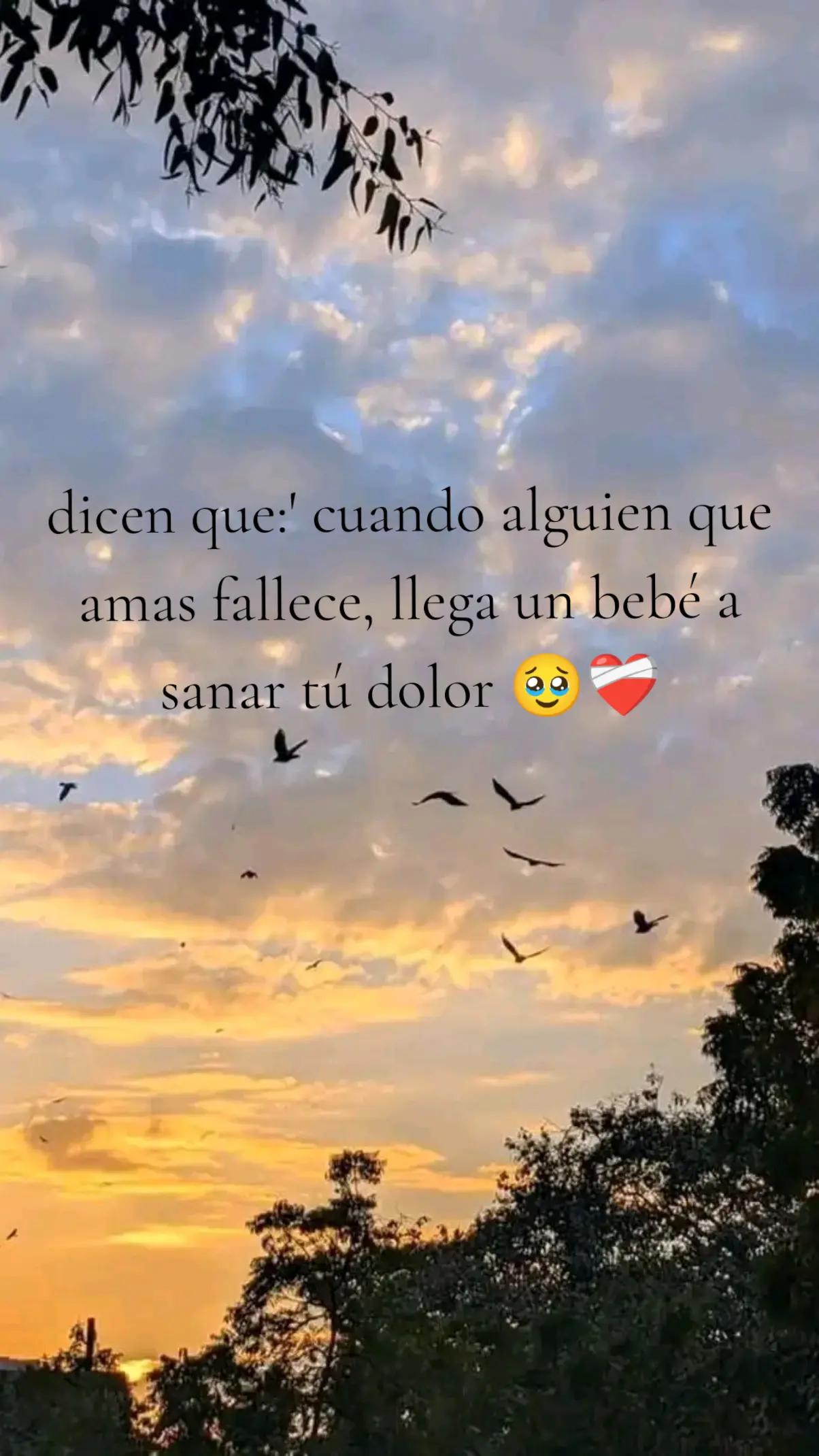 @@𝒞αrol Añεz🌺