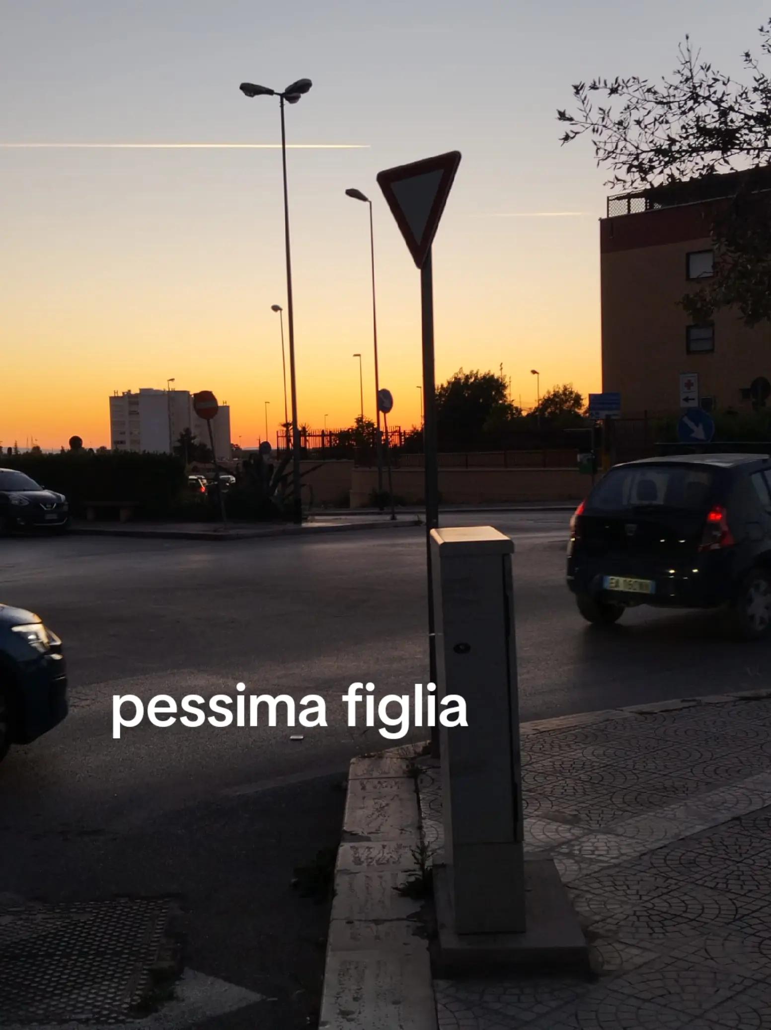 @account.sfogo8