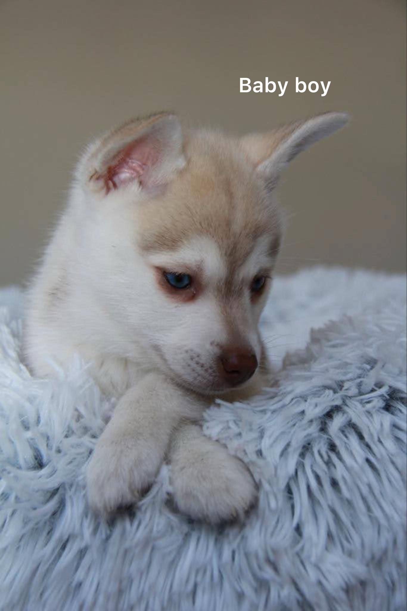 @lifewithkleekai