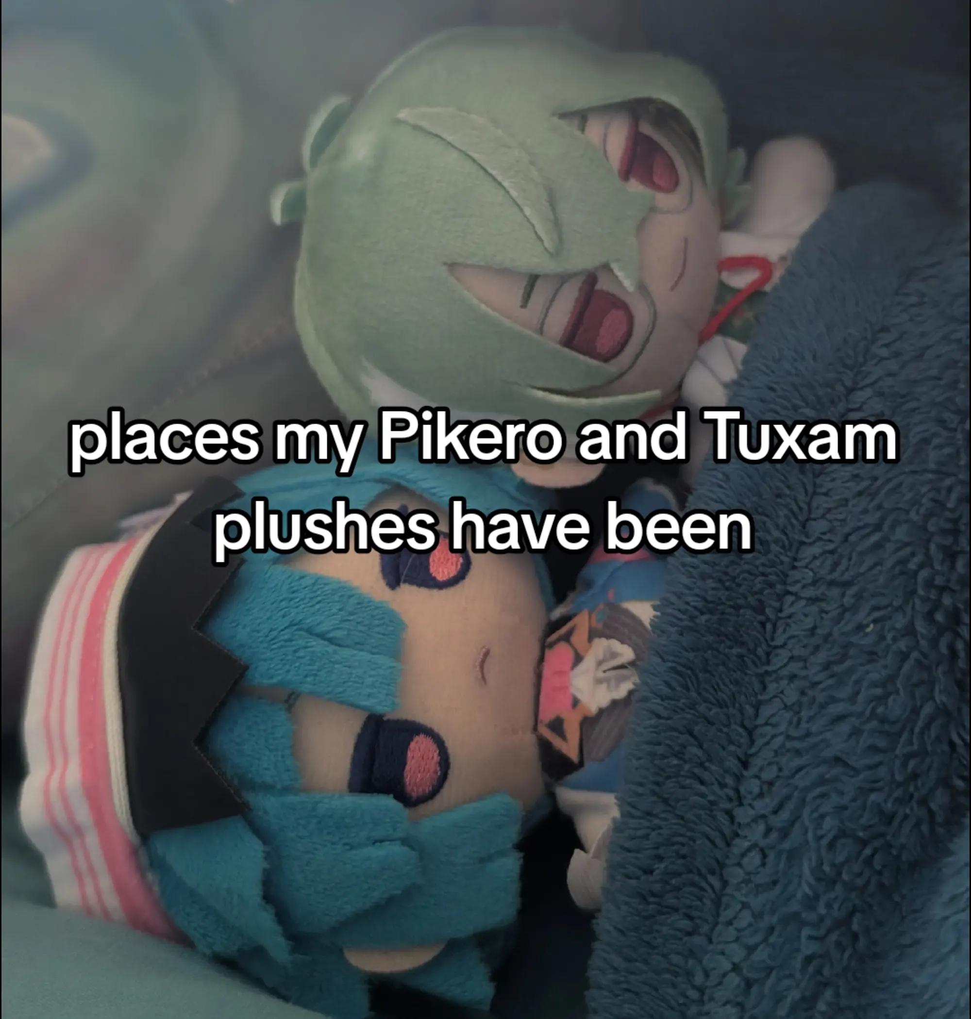 @Tuxam