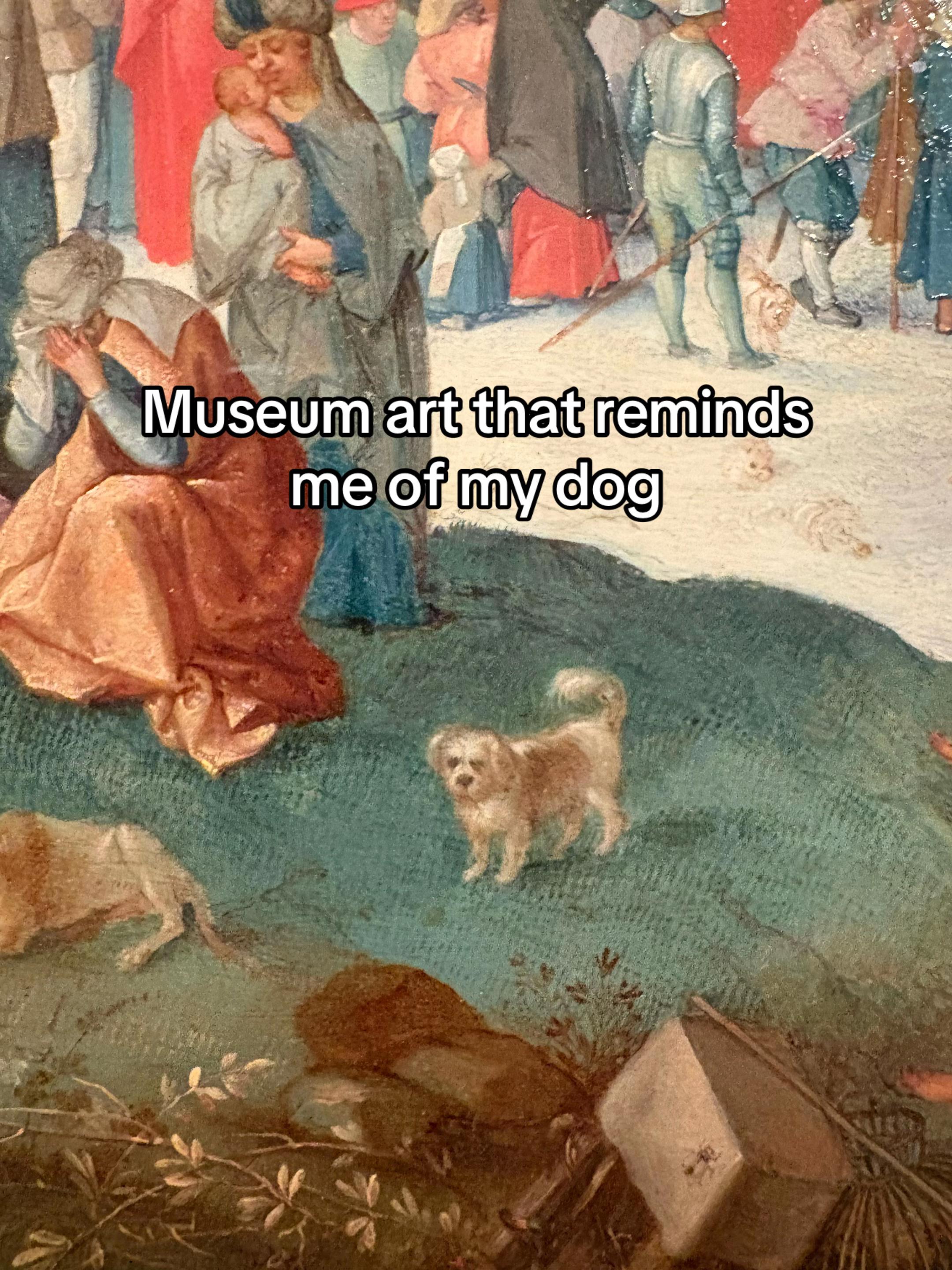 @Ell & Jakey 🐾