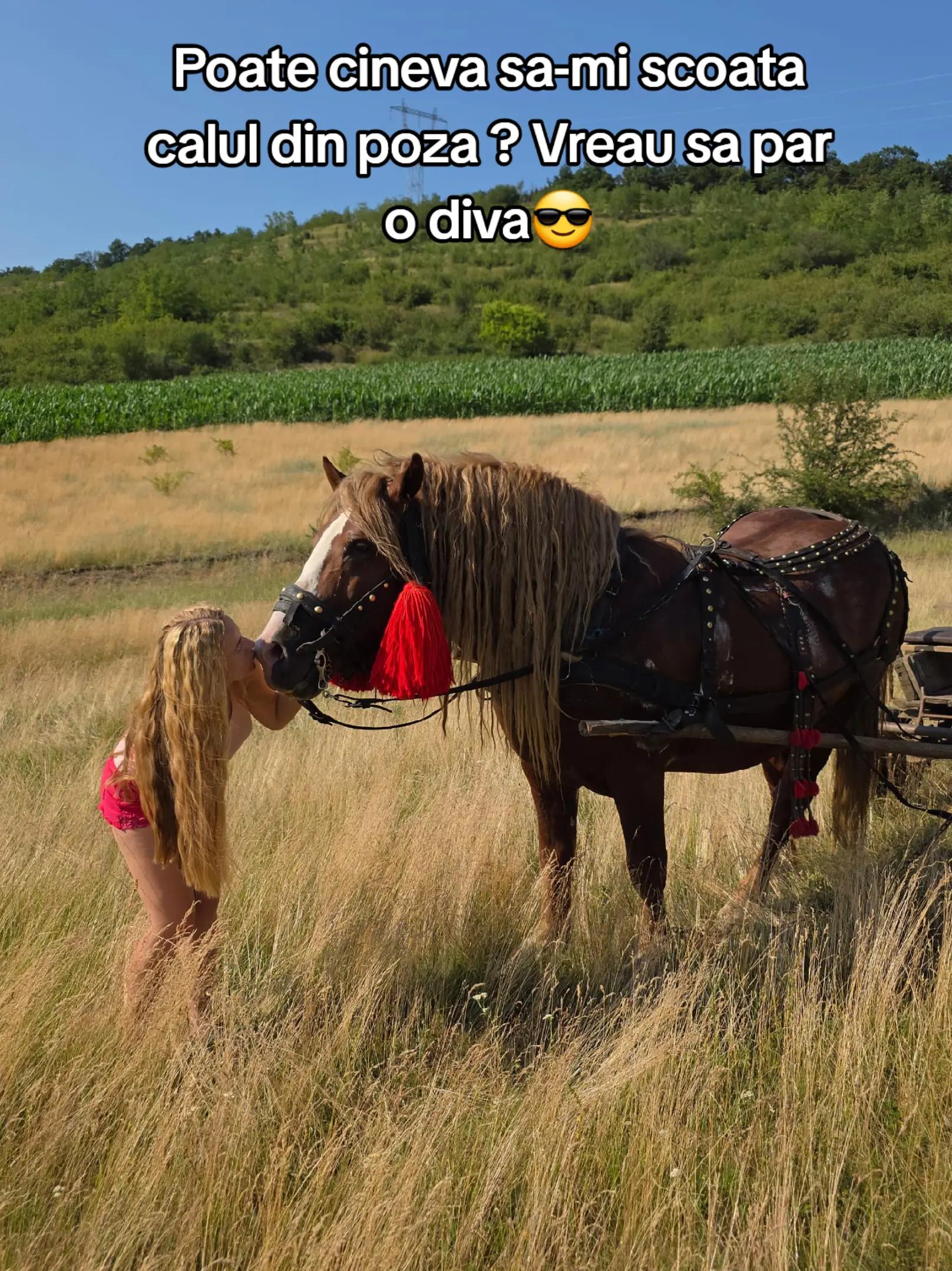 @Bonca Dorina