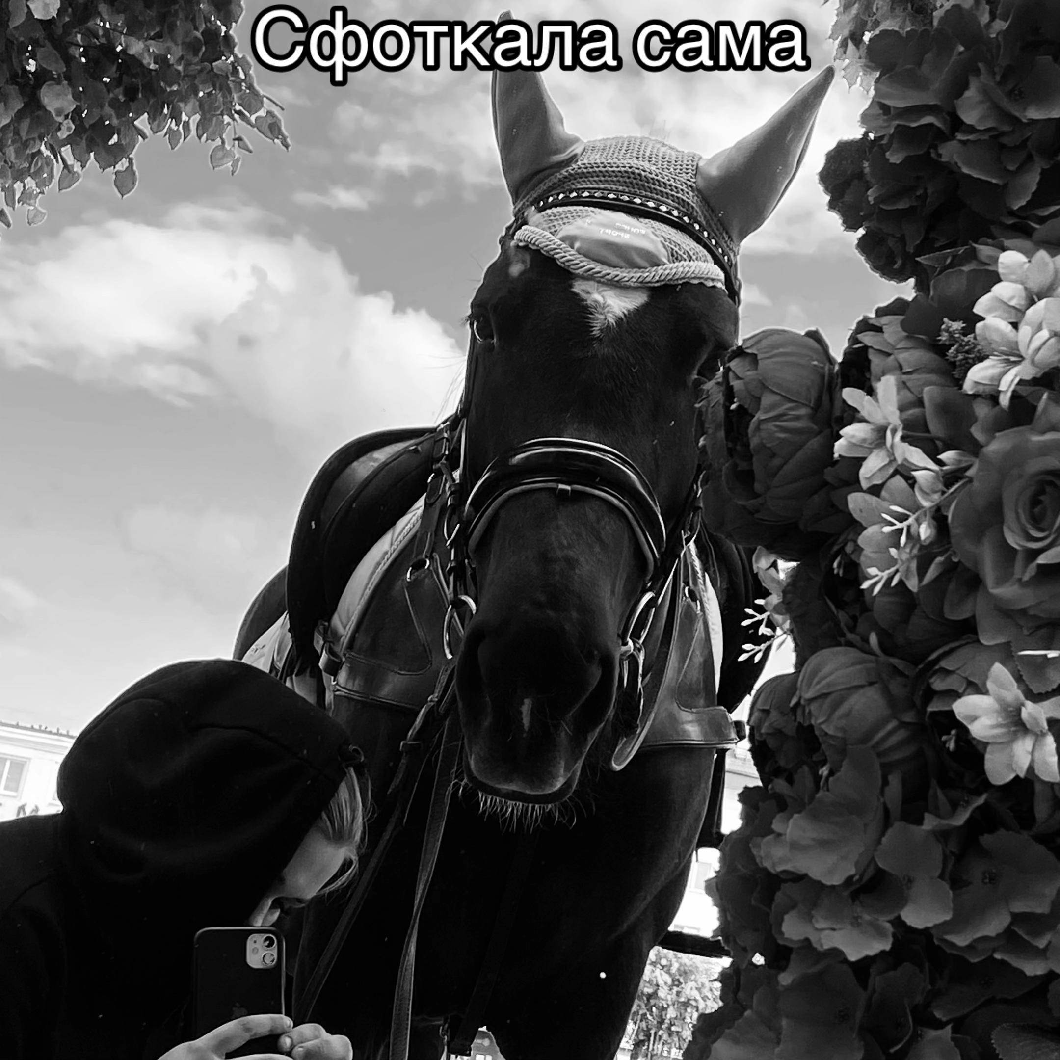 @umago.vitebsk