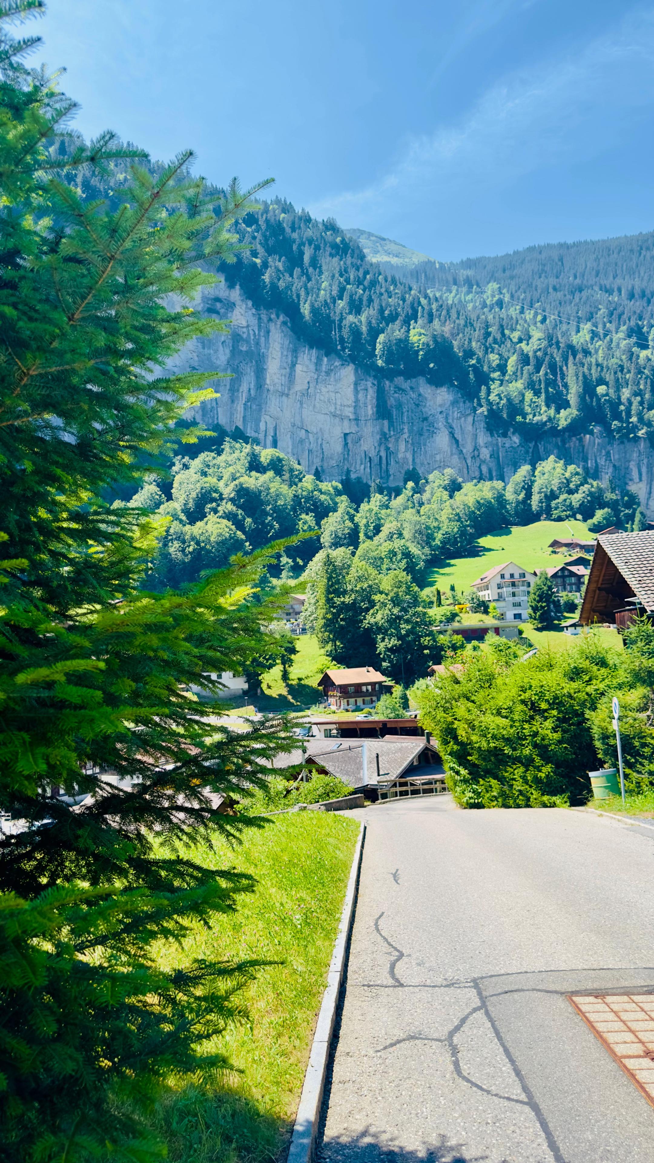 @Swiss_Vibe 🇨🇭