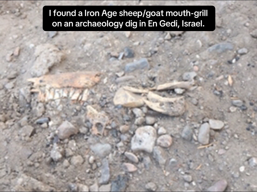 @Torah Archaeology