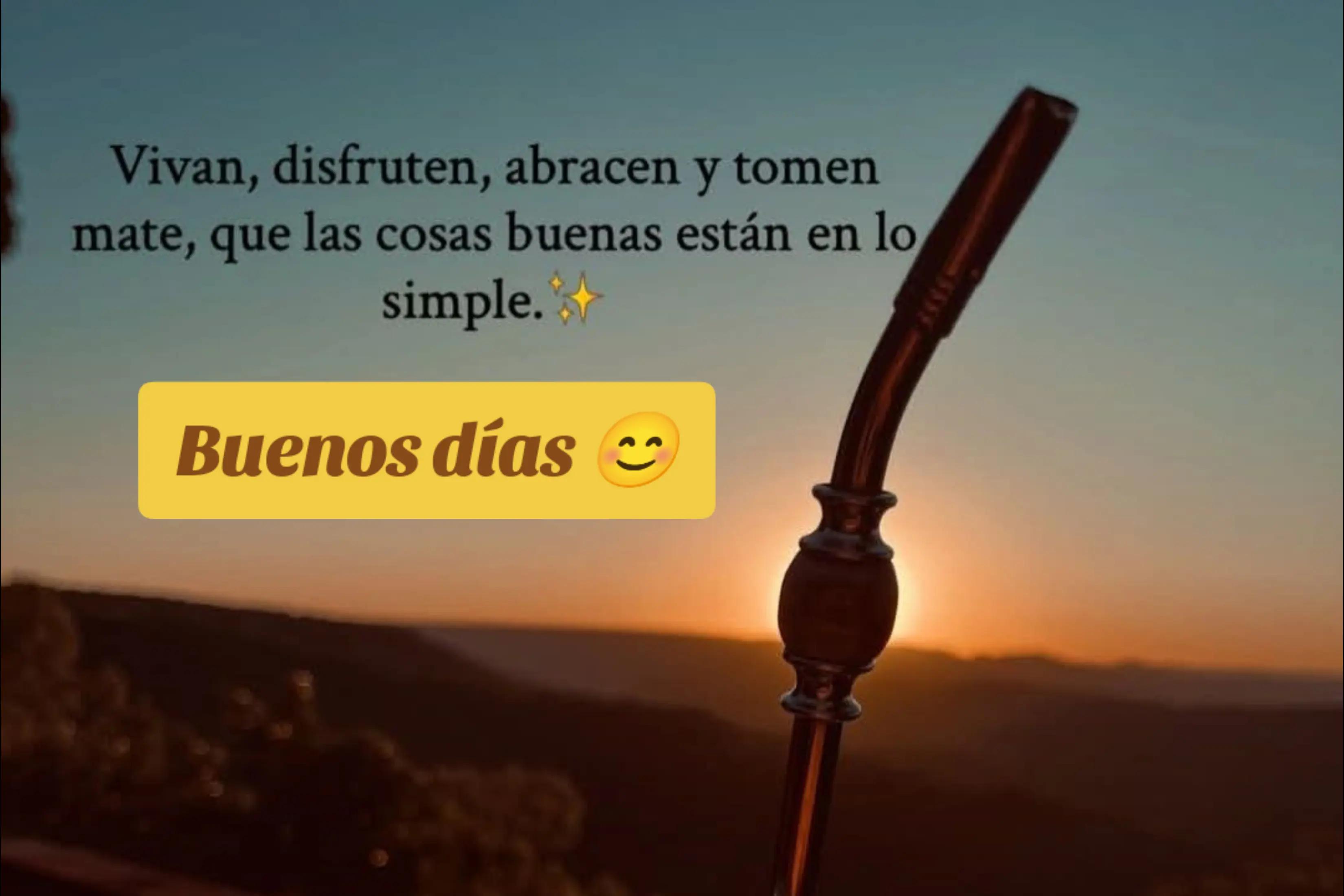 @alileiva ✨🌺🫀🧠🥂