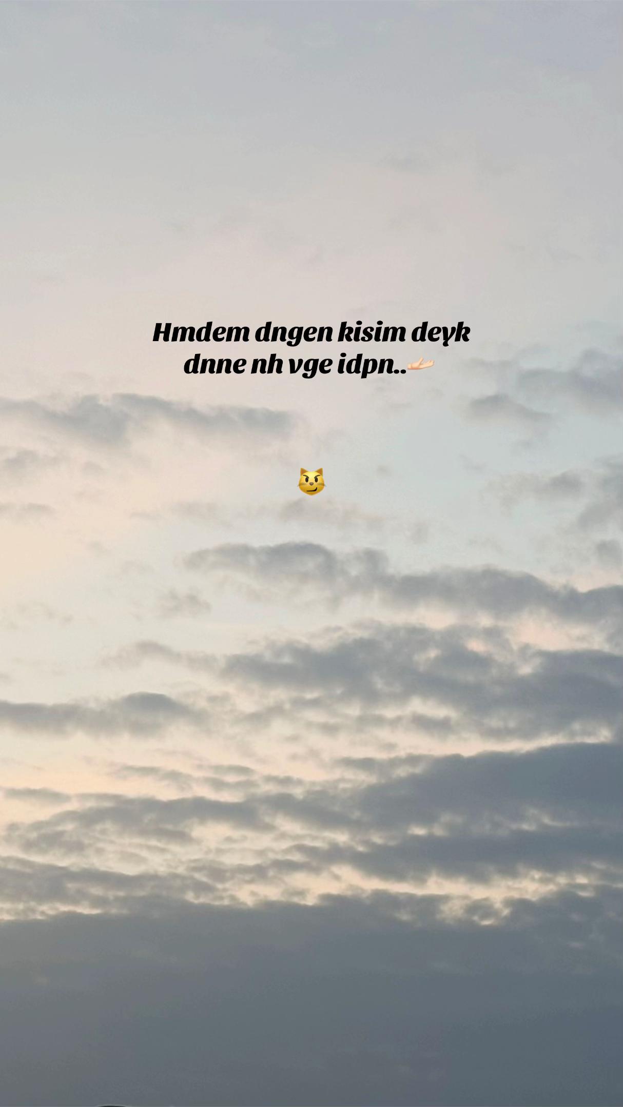 @sanduu0503