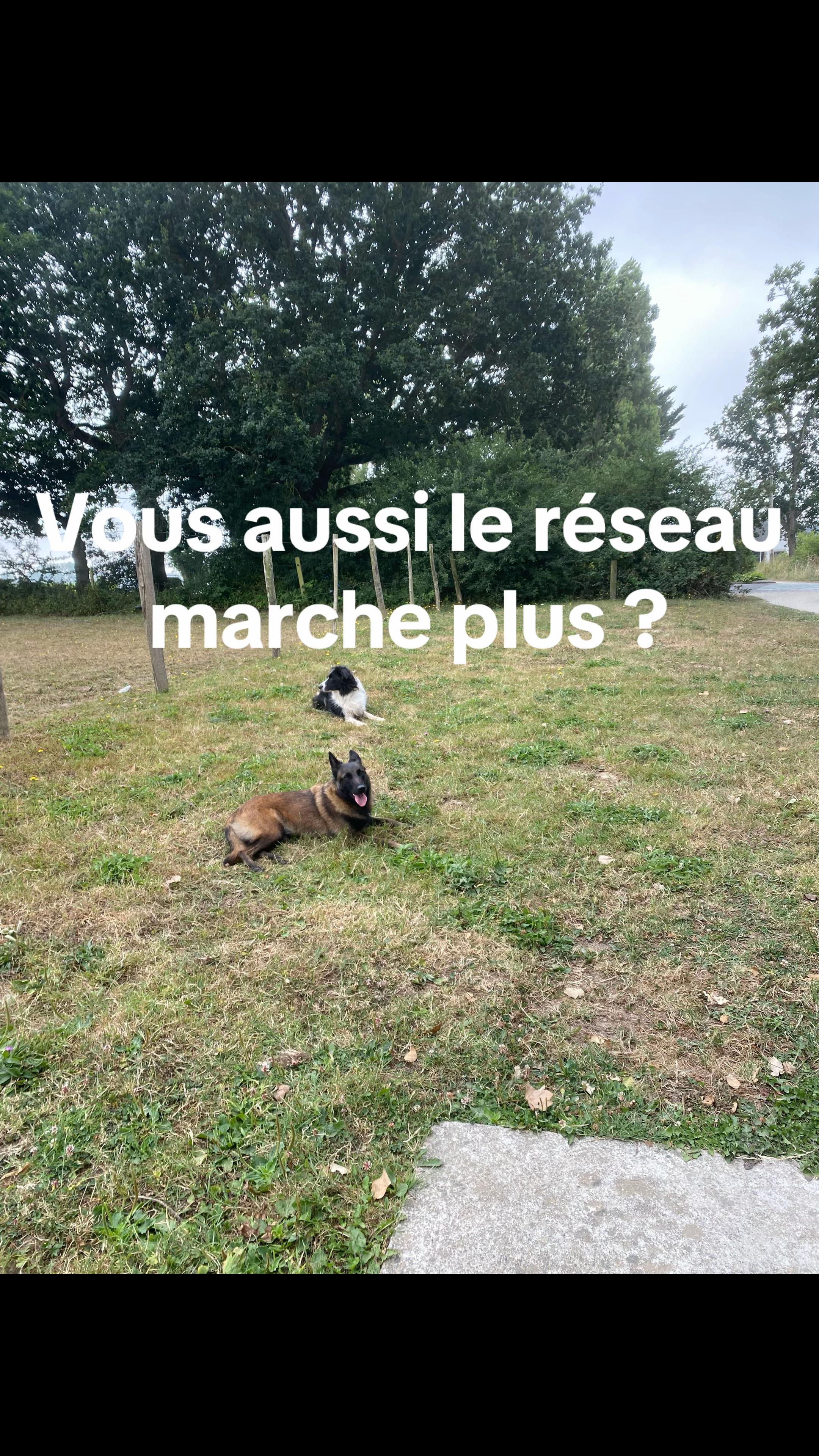 @PacoPacoPaco_le_chien