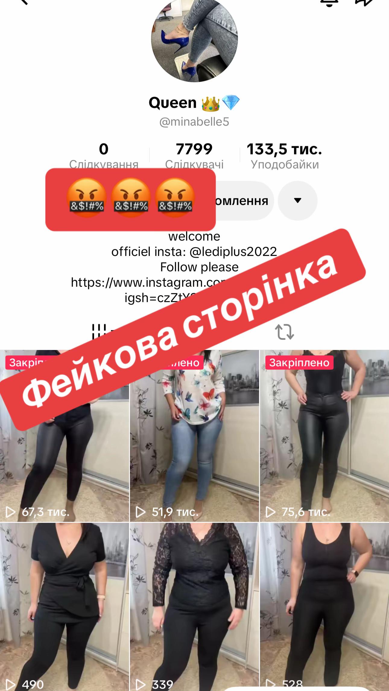 @lediplus 2022