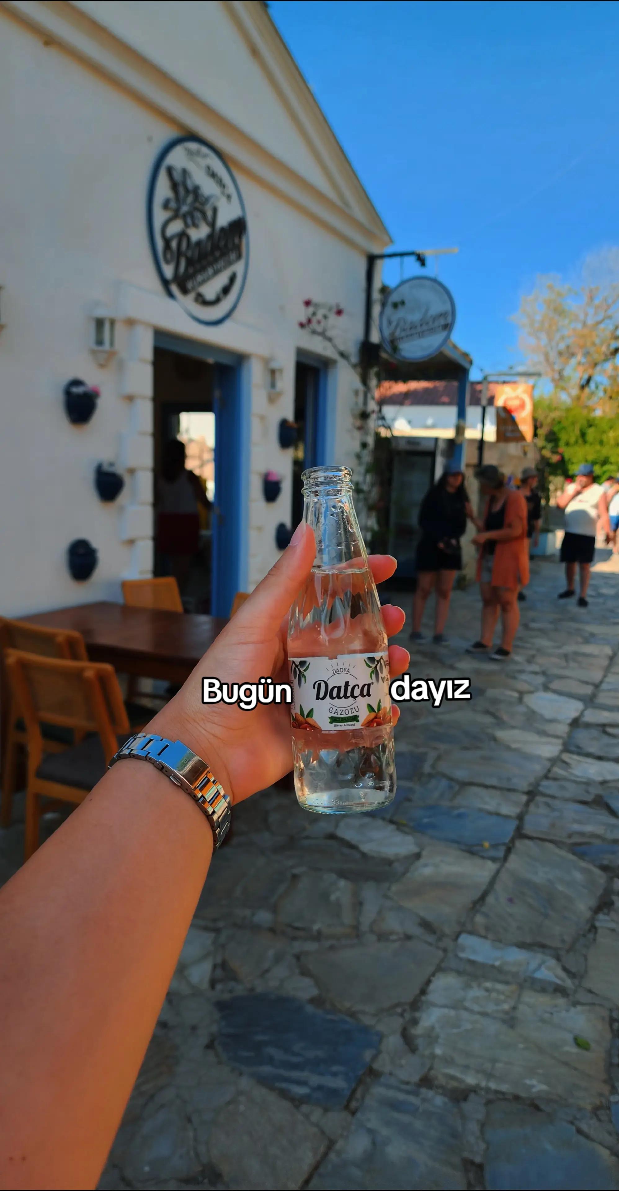 @Mehlika Aslaner