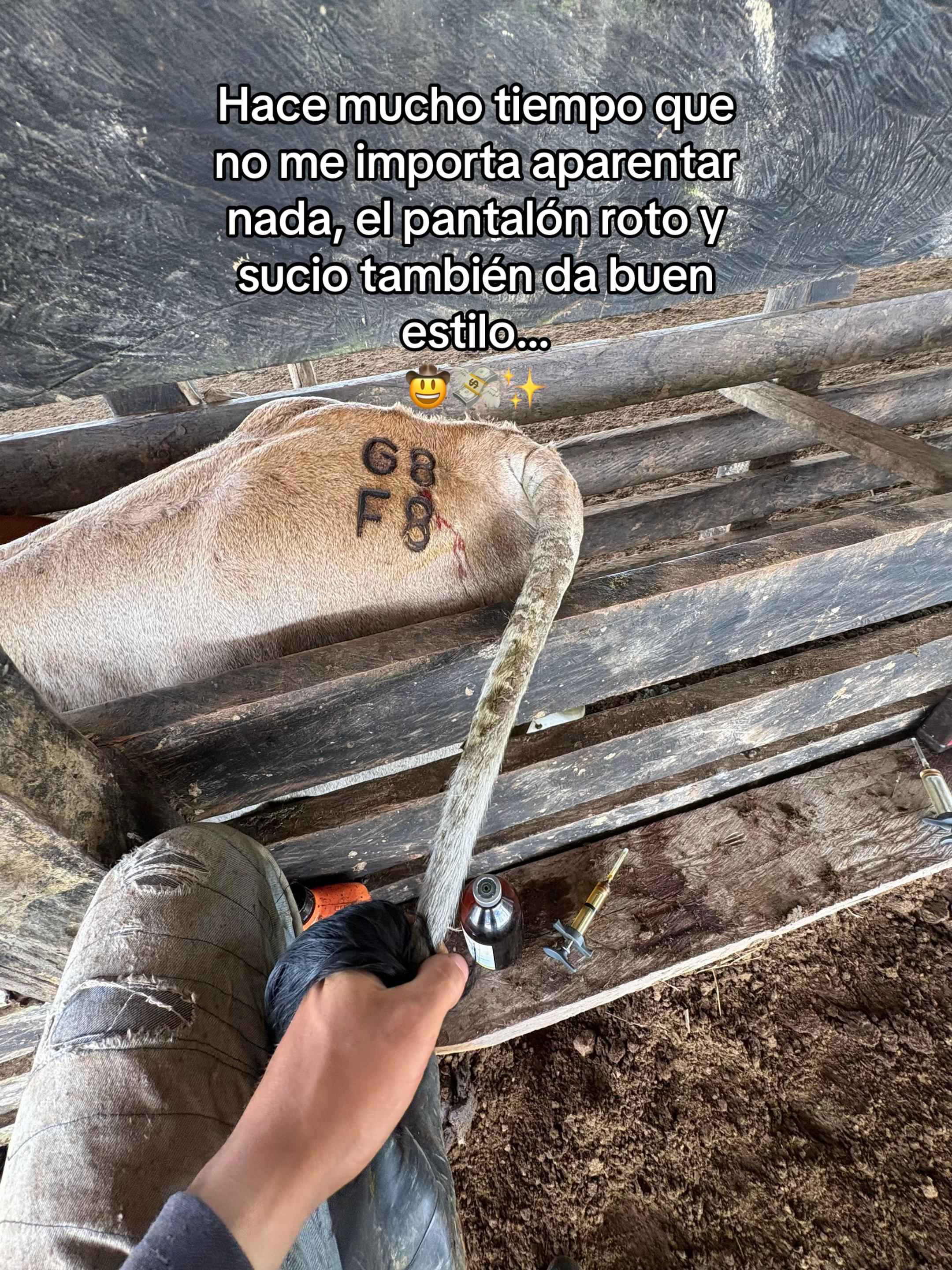 @Didier_🤠