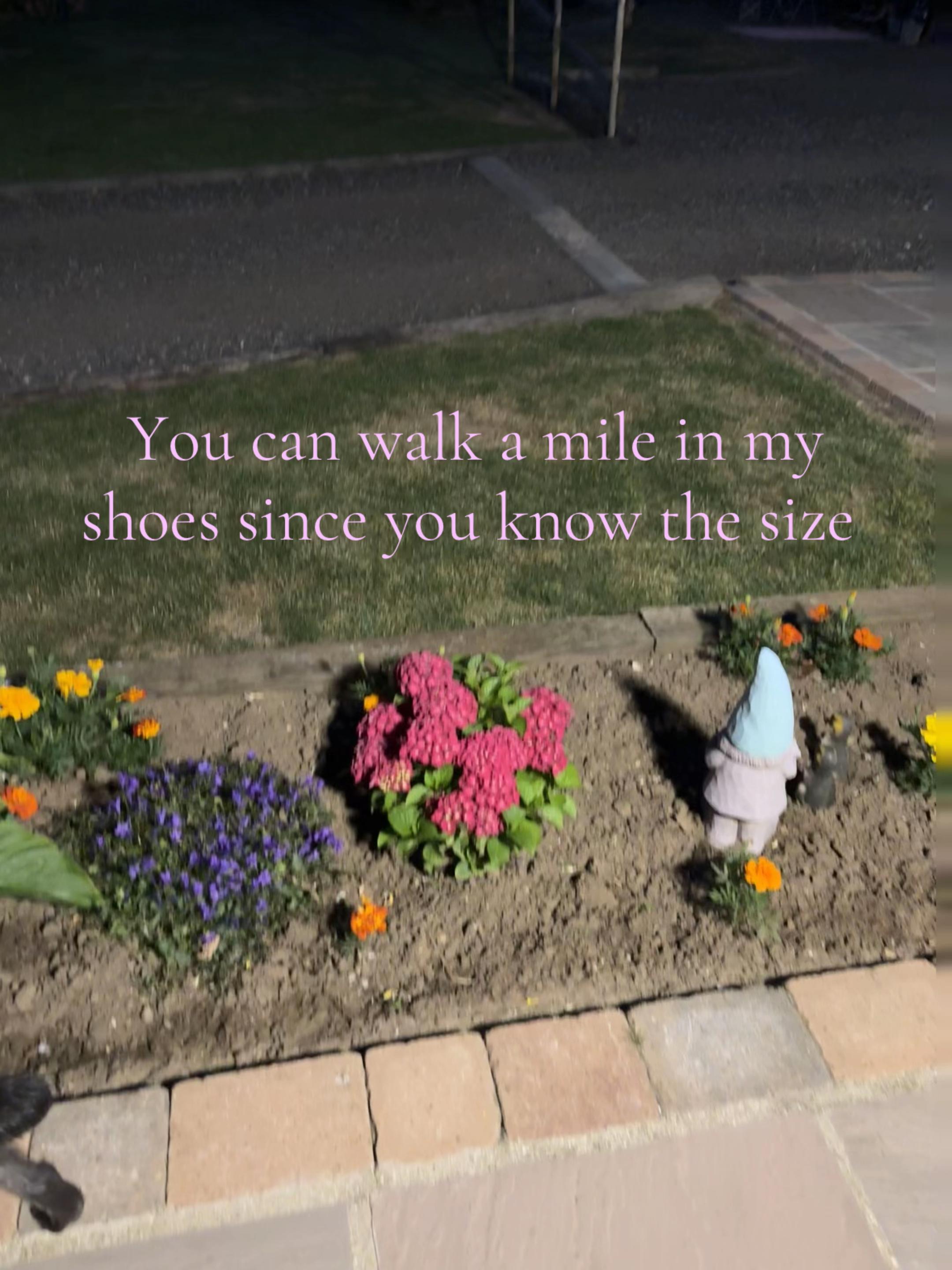 @𝓜𝓸𝓵𝓵𝓲𝓮🪽