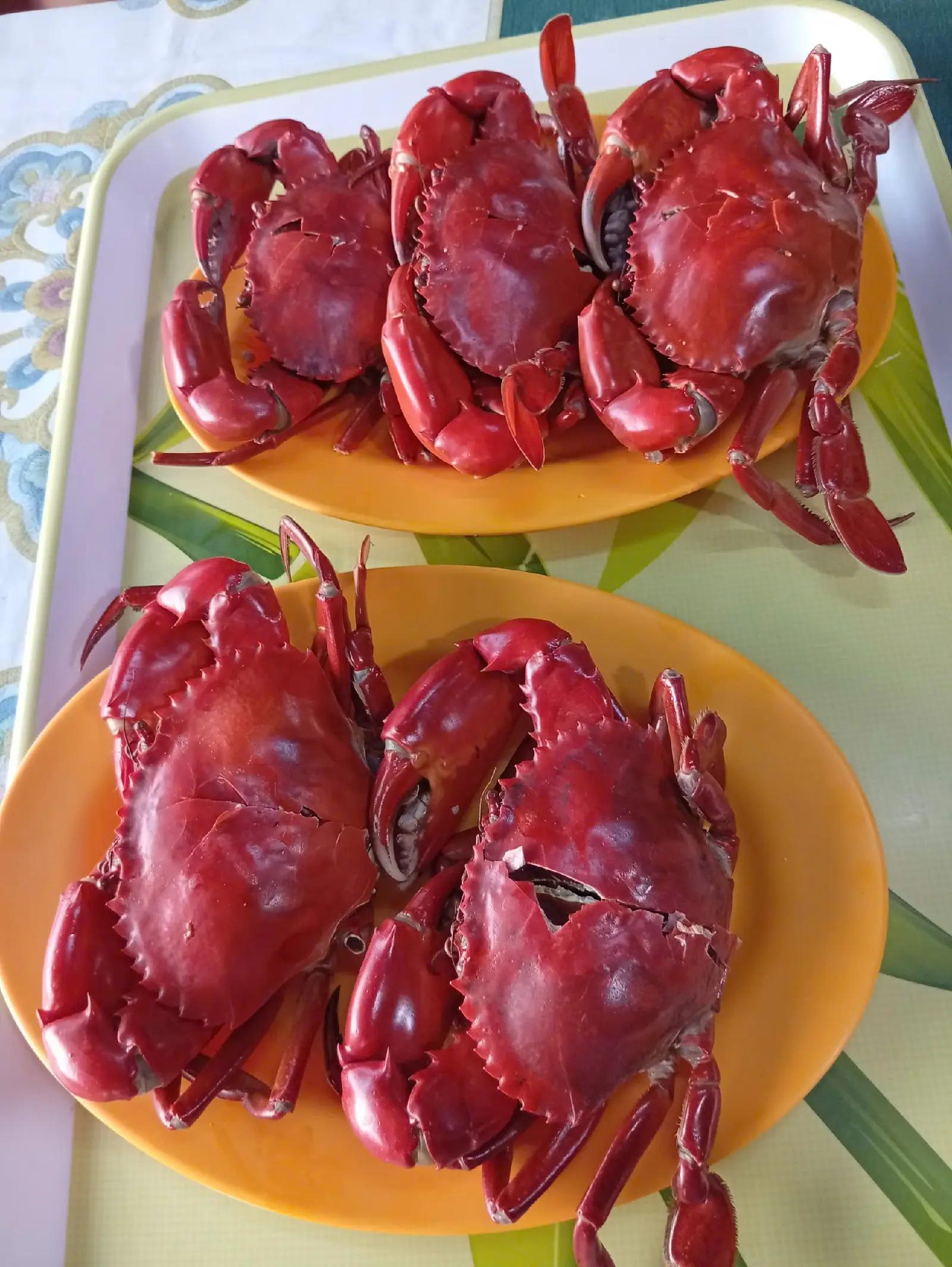 @Nh&agrave; Xe Tấn T&agrave;i An Giang