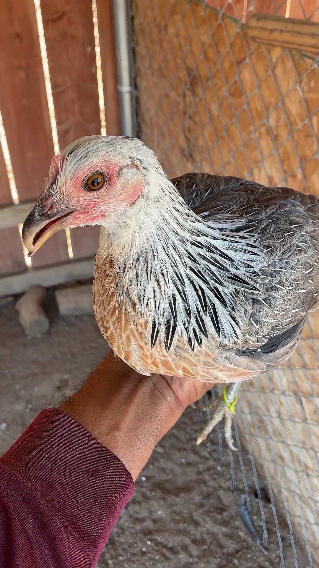 @A.MENDOZA.FARM.USA 74HWY