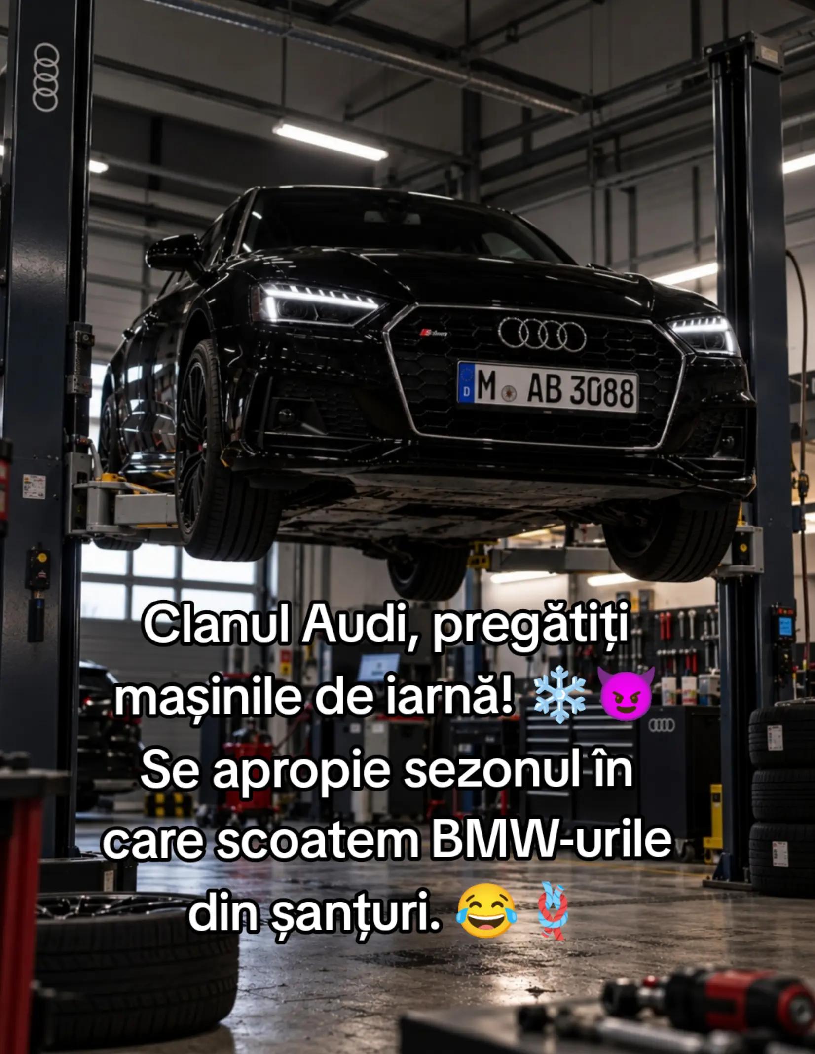 @Andreea Bădău