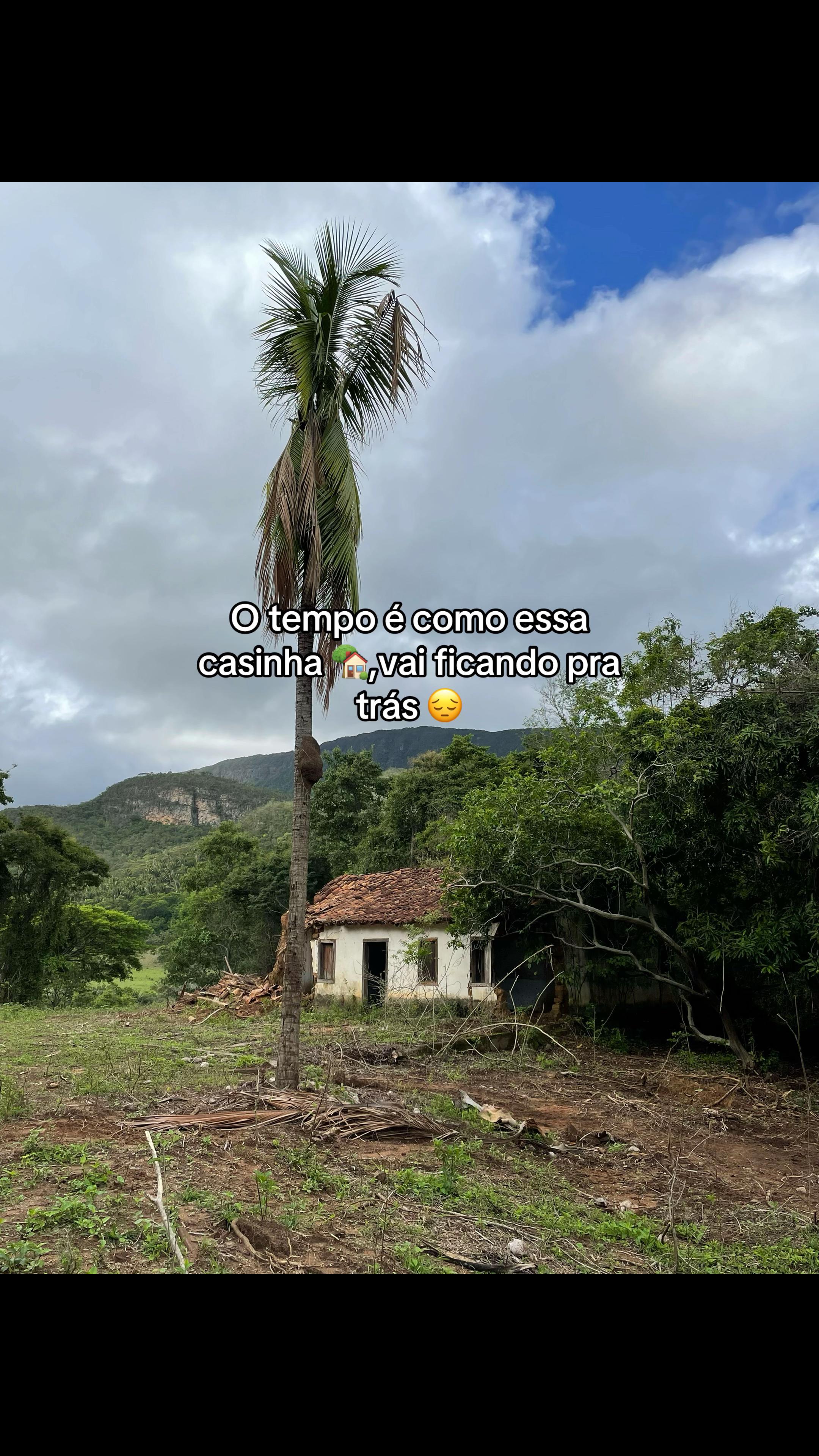 @Jailton dos Anjos 🤠