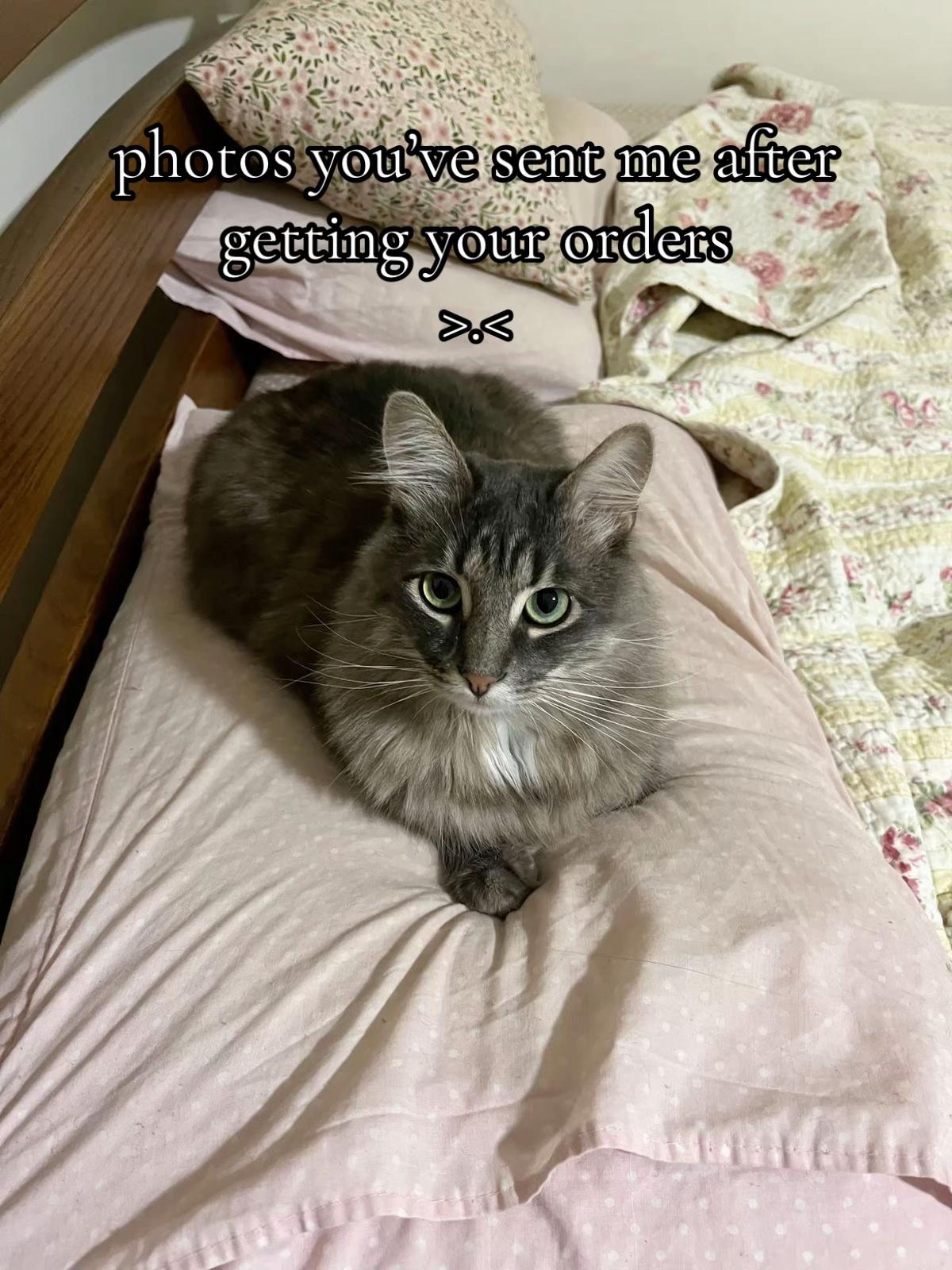 @blackcatcrochet<𝟑
