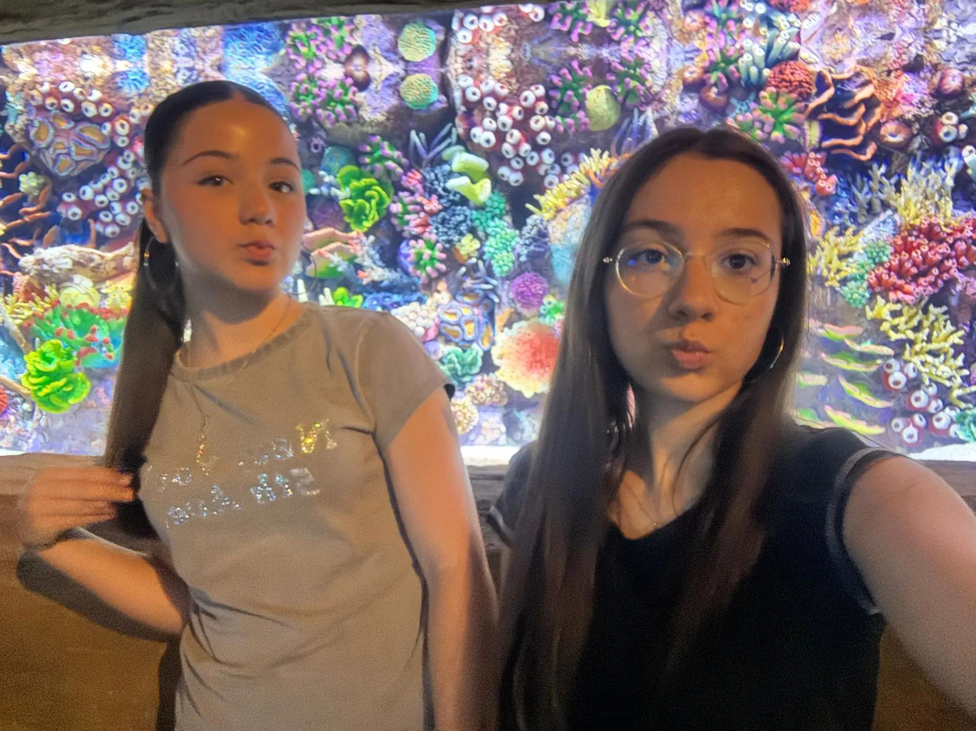 @2liekonomikmenü