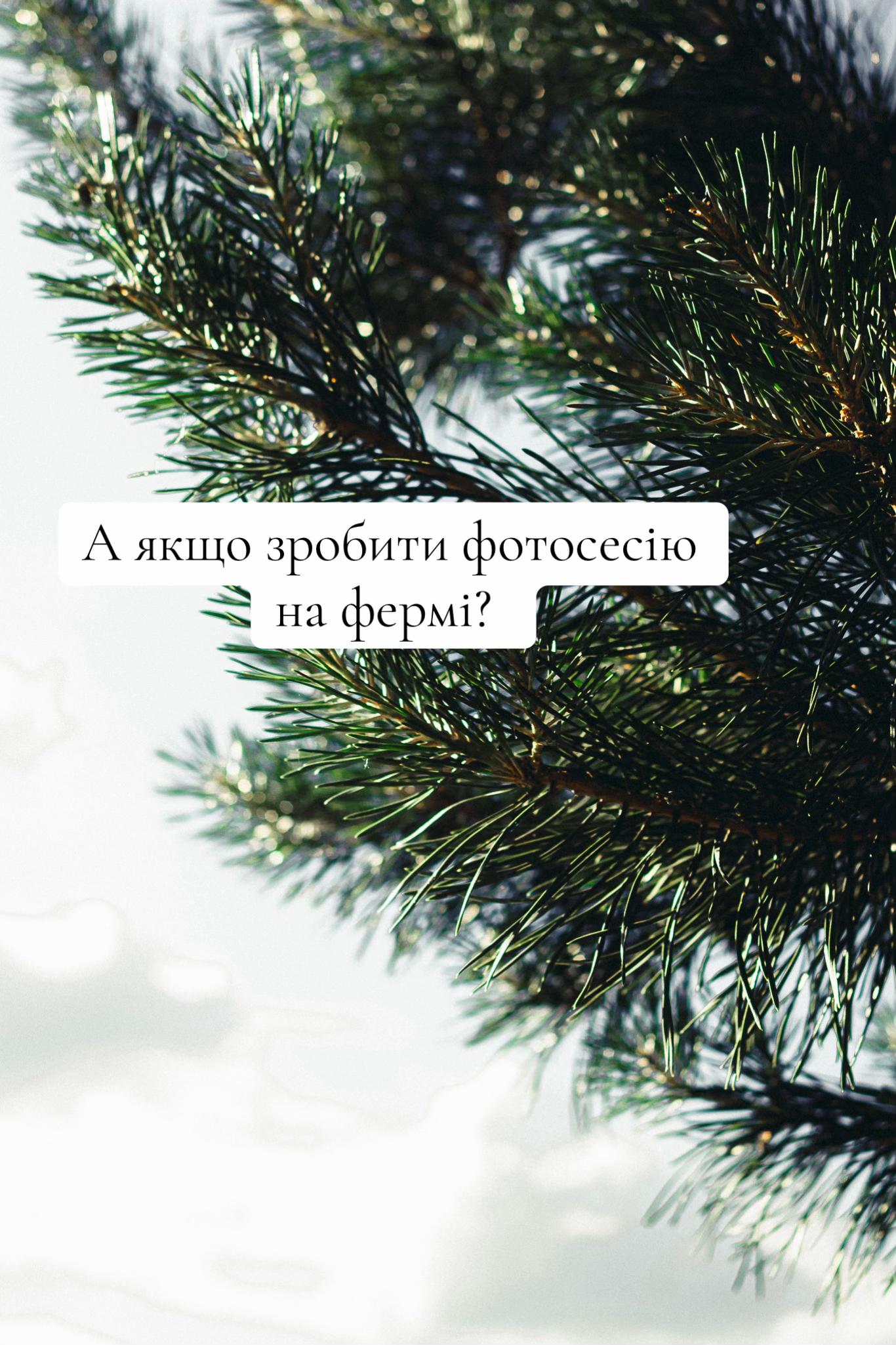 @zolota.photo