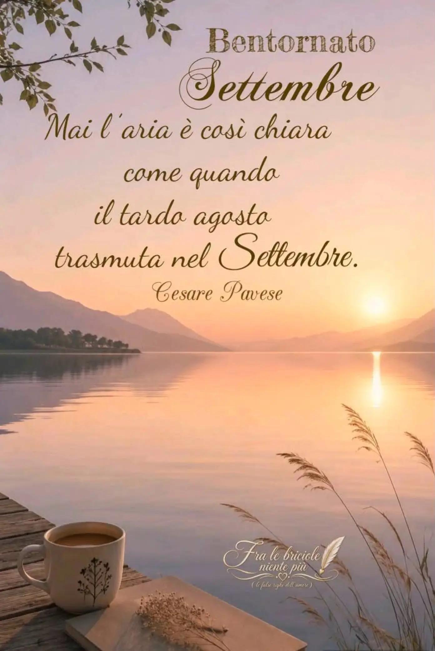 @Rocco Pasquale