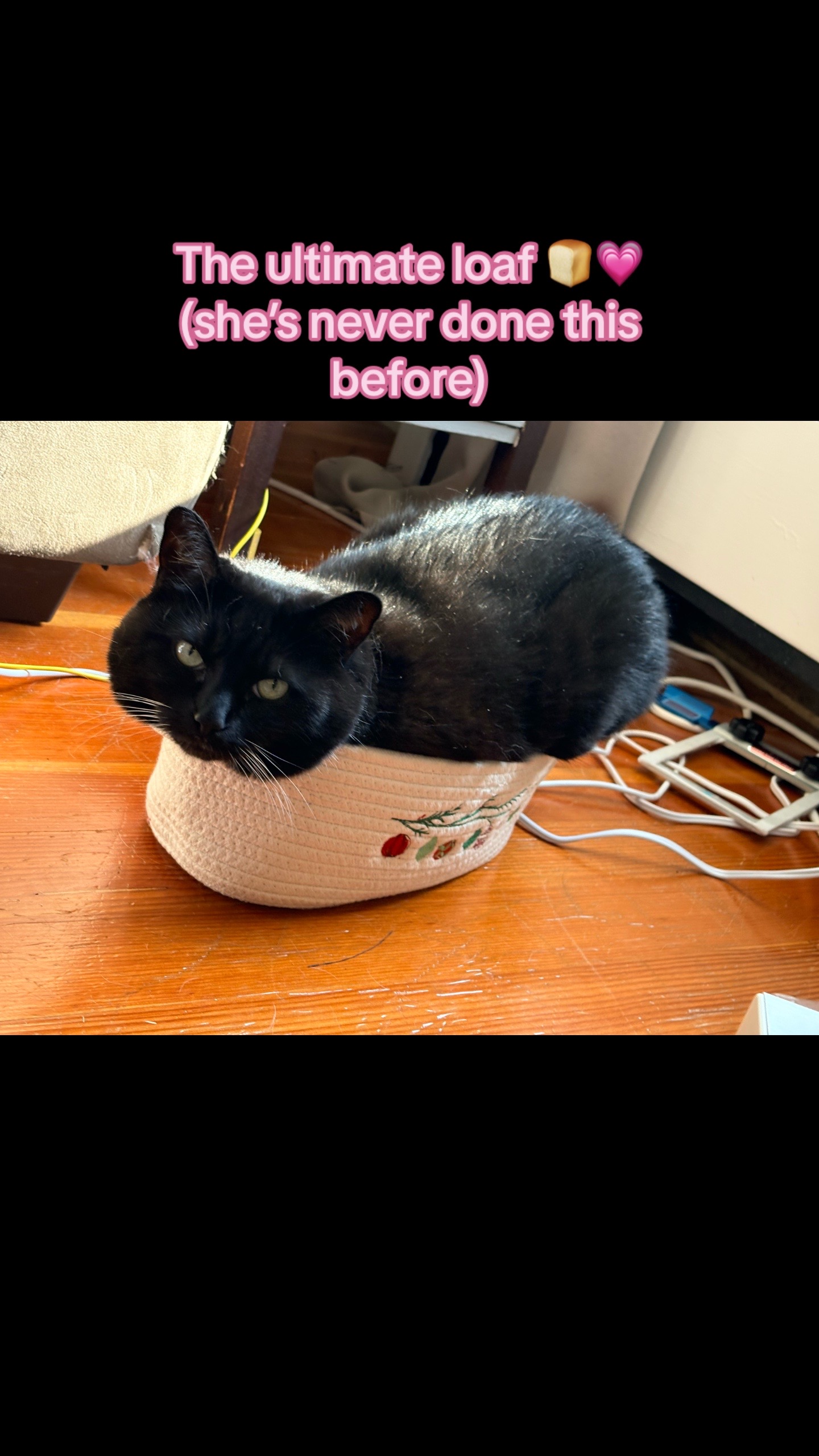 @💕ᴬˡⁱᶜᵉ💕