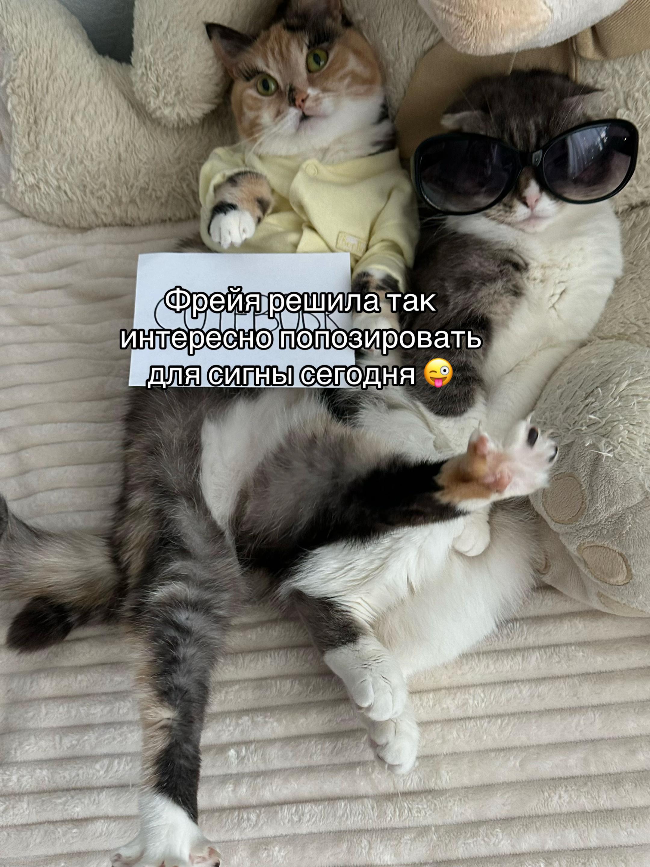@Chloe 𝜗𝜚 Freya