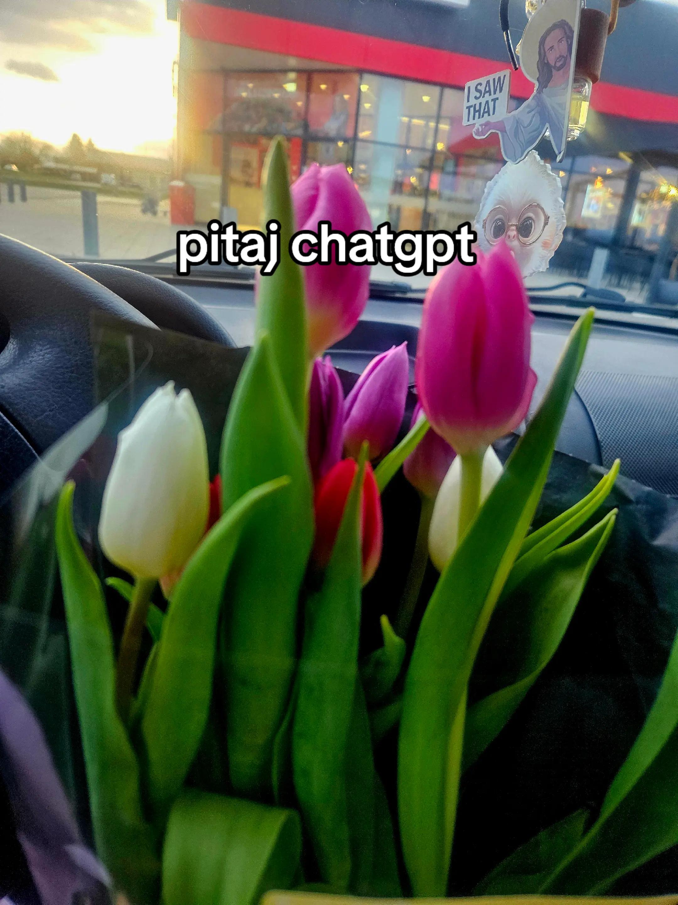 @Tina★