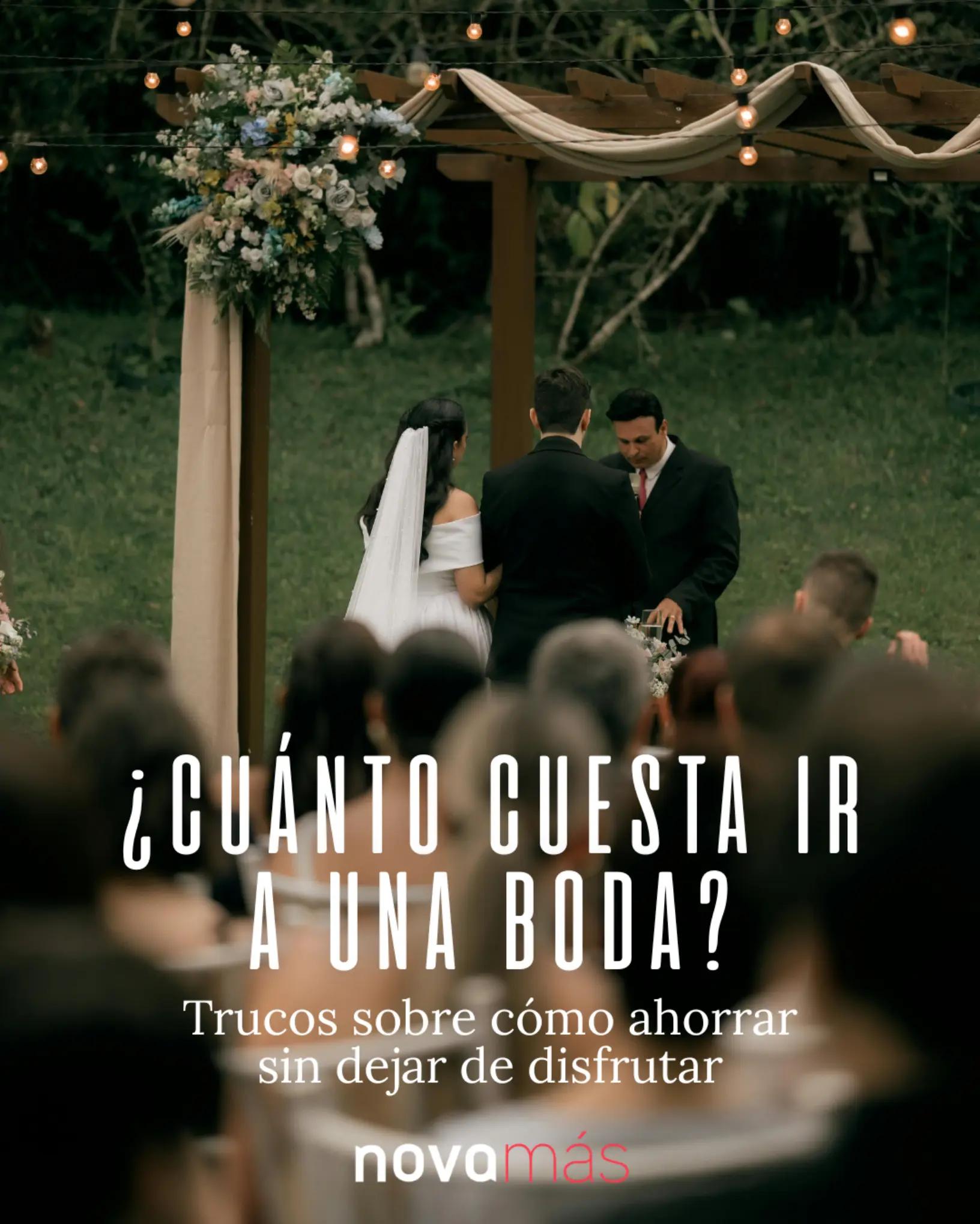 @NovaMas