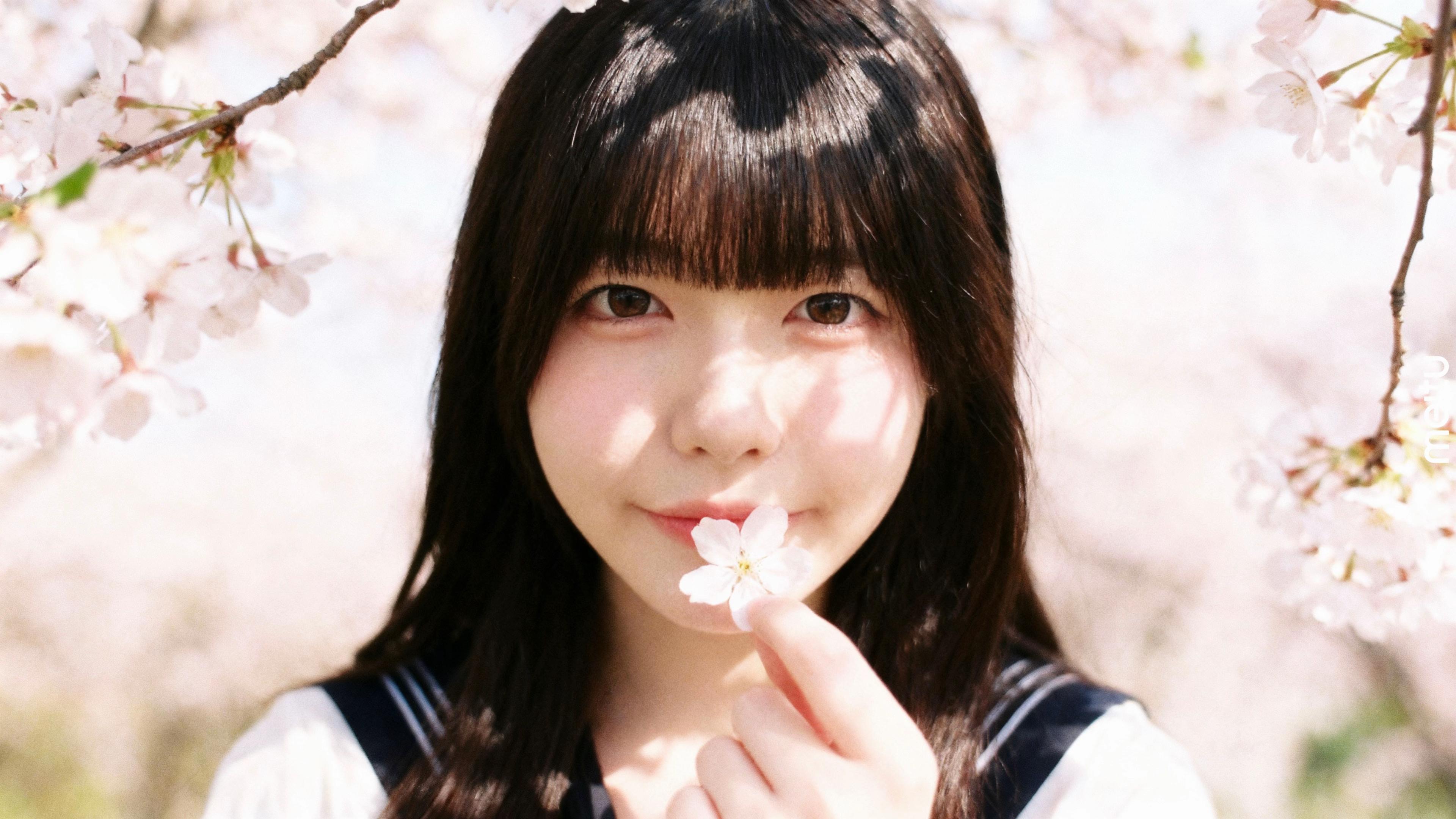 @ことはまい
