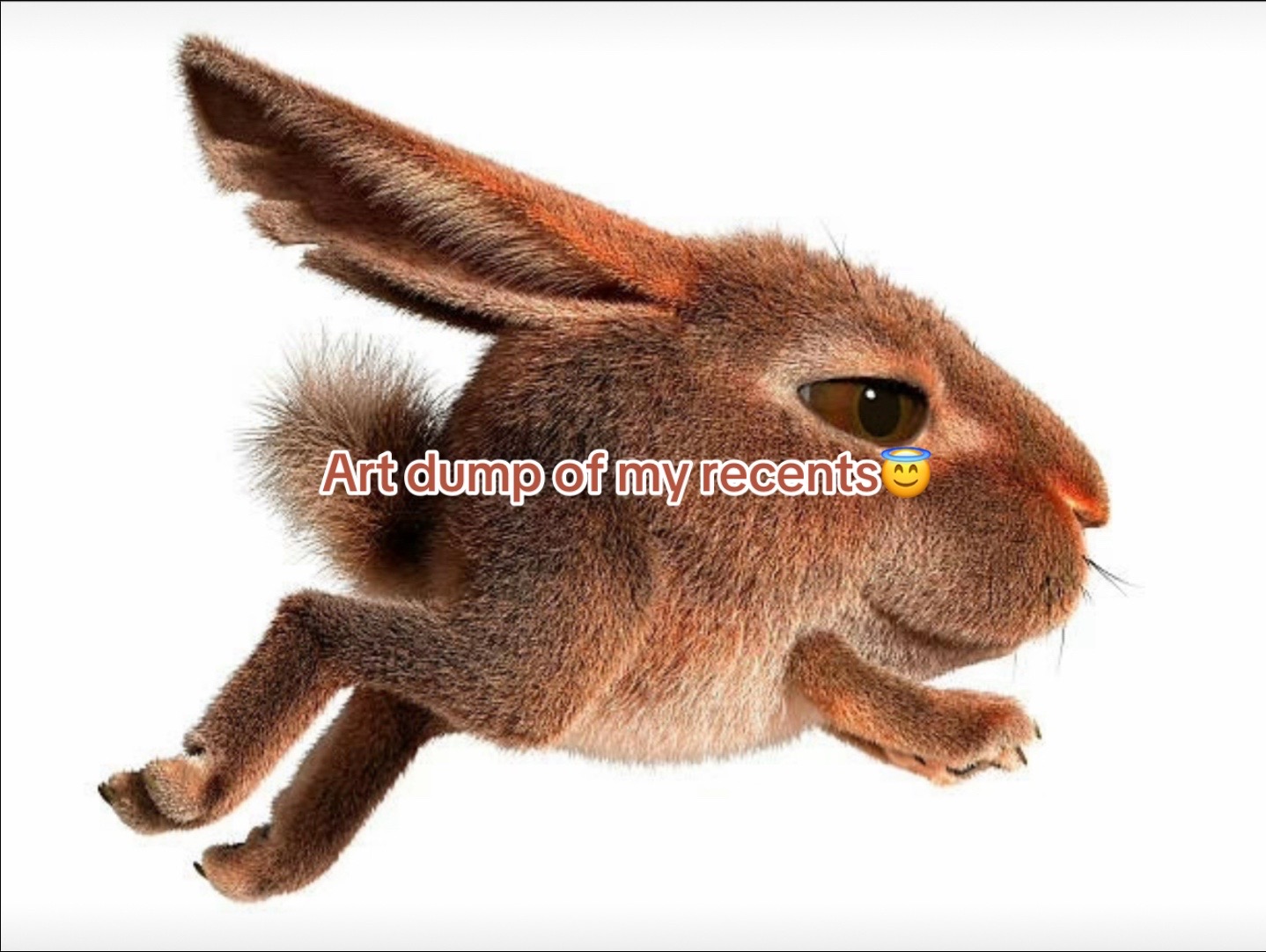 @skibizumi