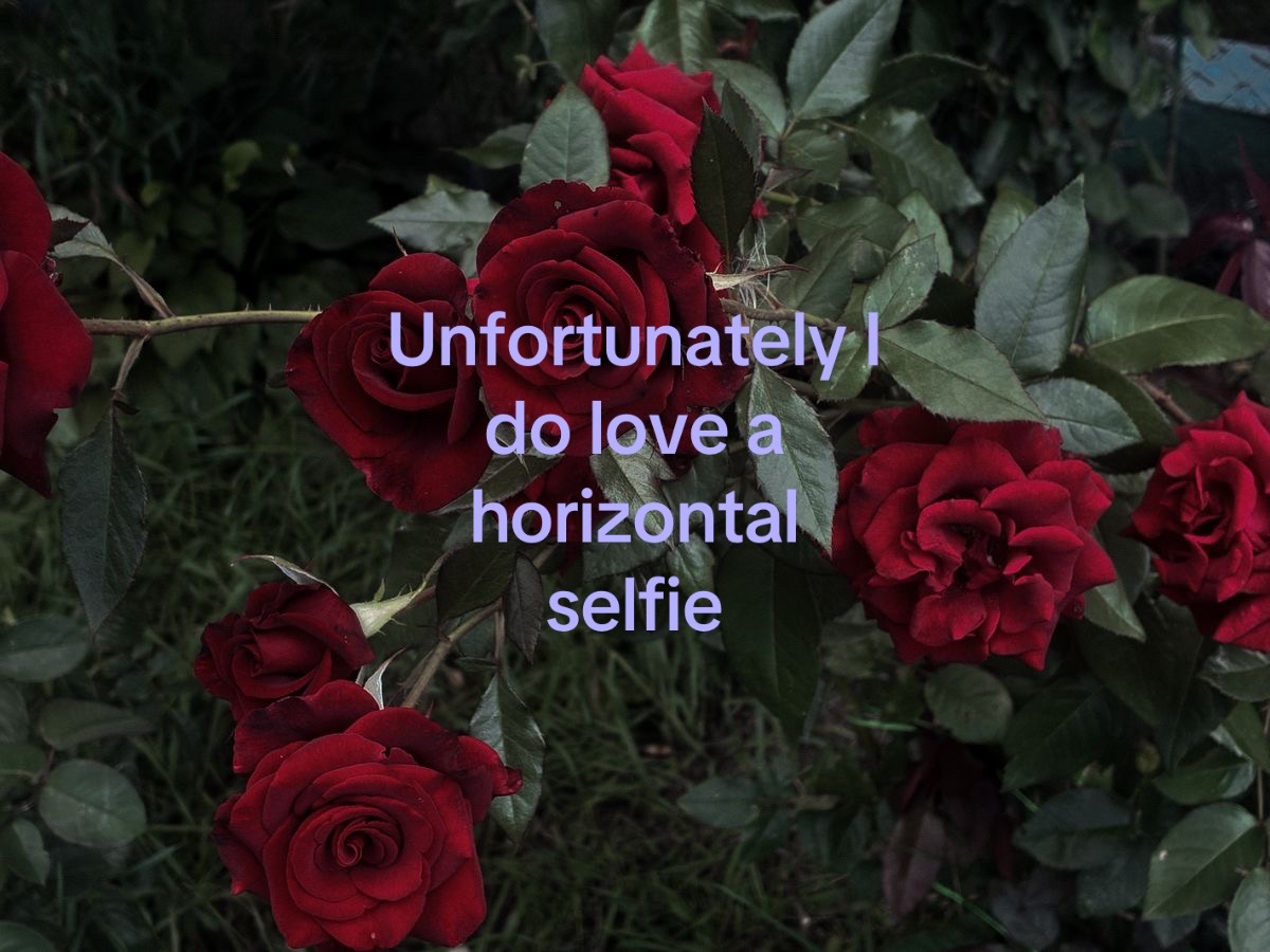 @kreepy🧛🏻♀️