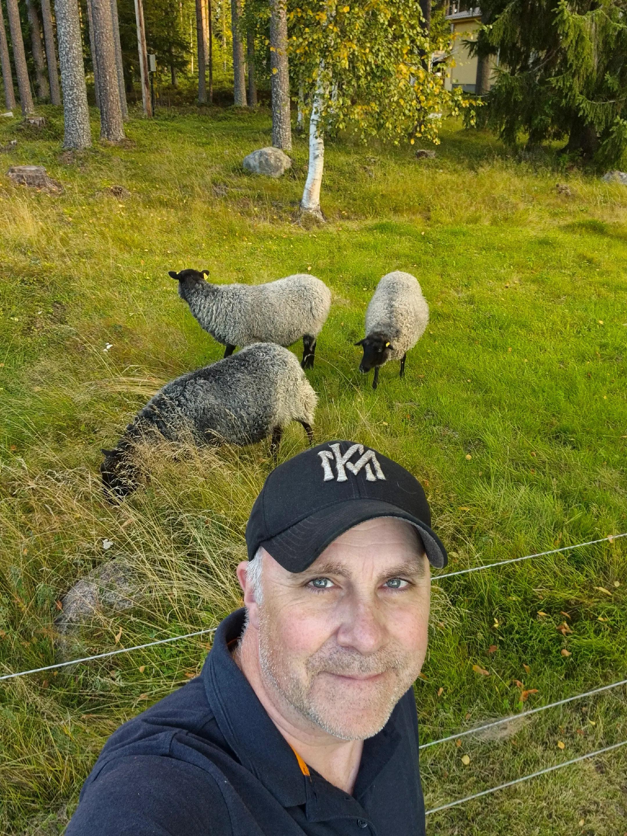 @Skruven i skogen tools