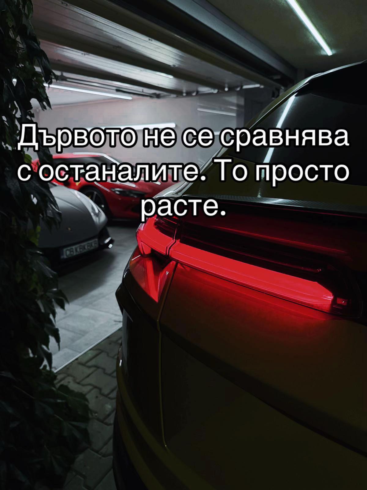 @Dimitrov_b