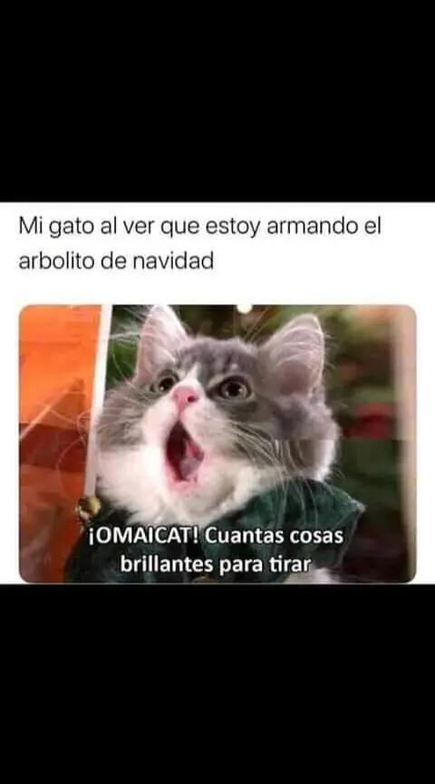 @Sola
