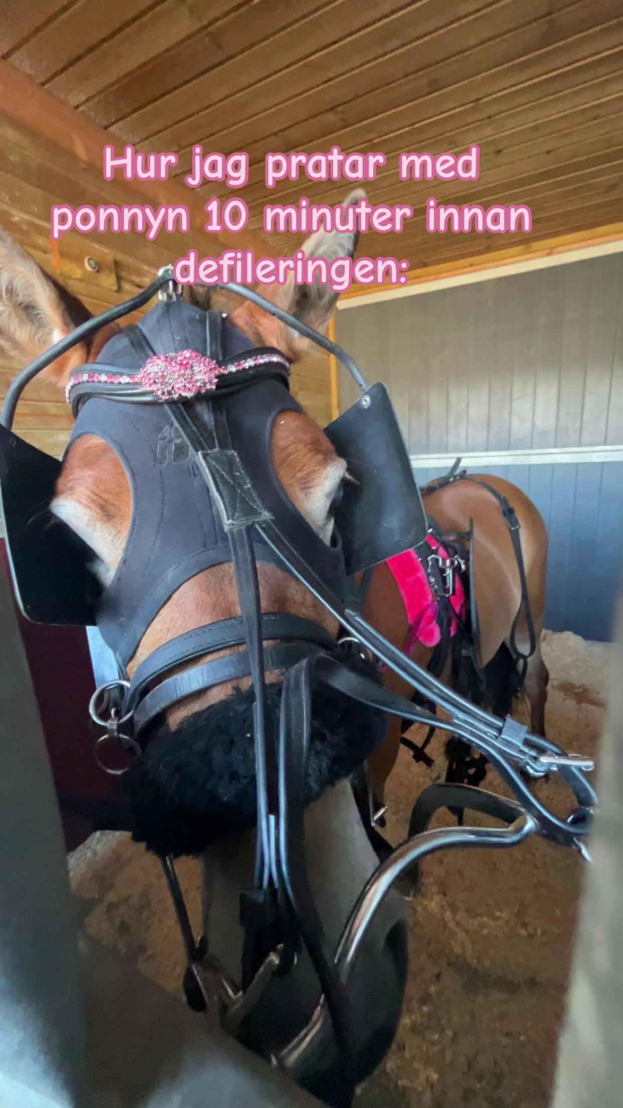@ℐ𝓈𝒶𝒽 ℒ𝒾𝓃𝒹𝒷ℯ𝓇𝑔 🇸🇪