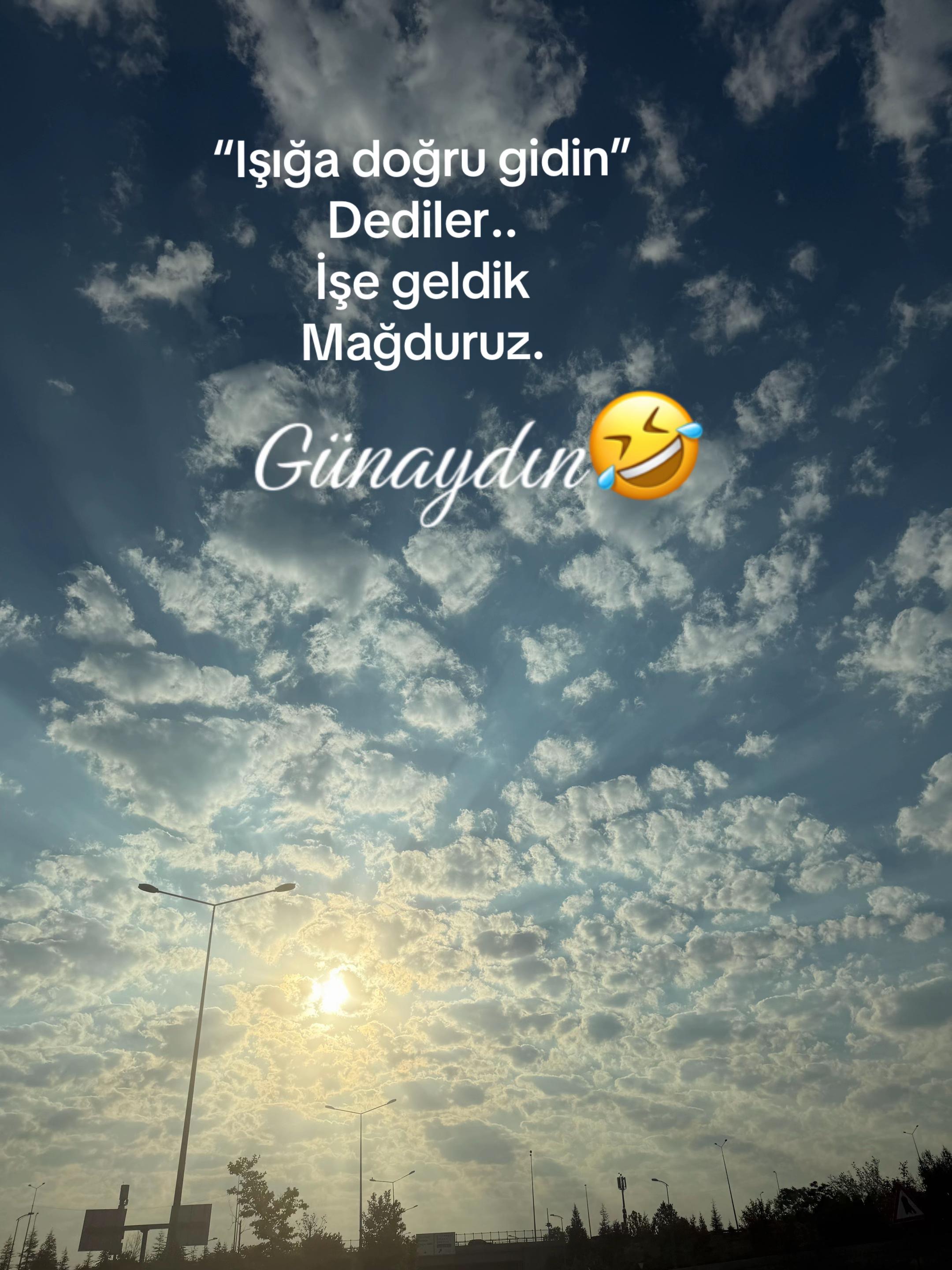 @🖤 ᔕᑌᔕKᑌᑎ ᗩᗪᗩᗰ🖤
