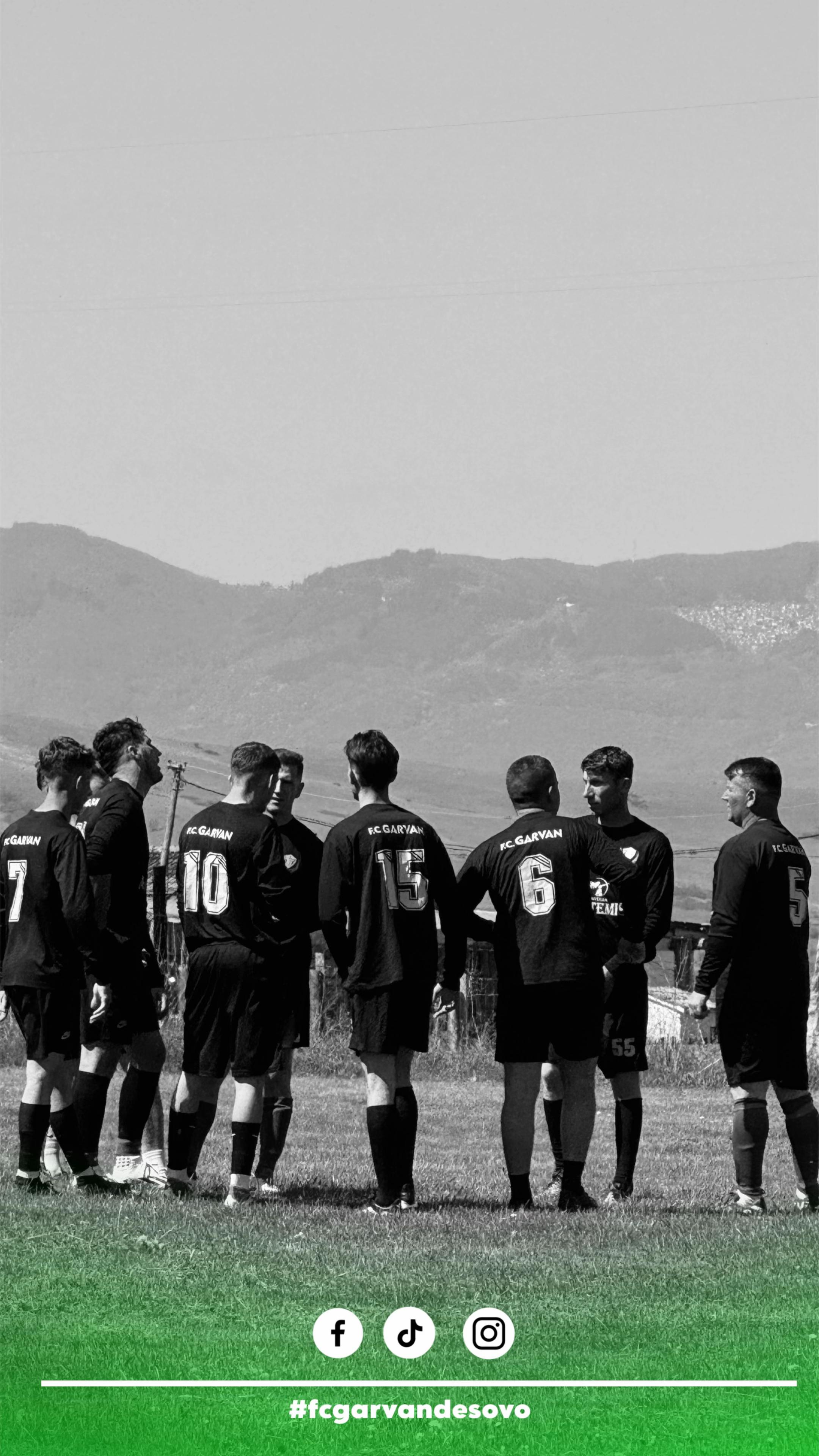 @fcgarvandesovo_official